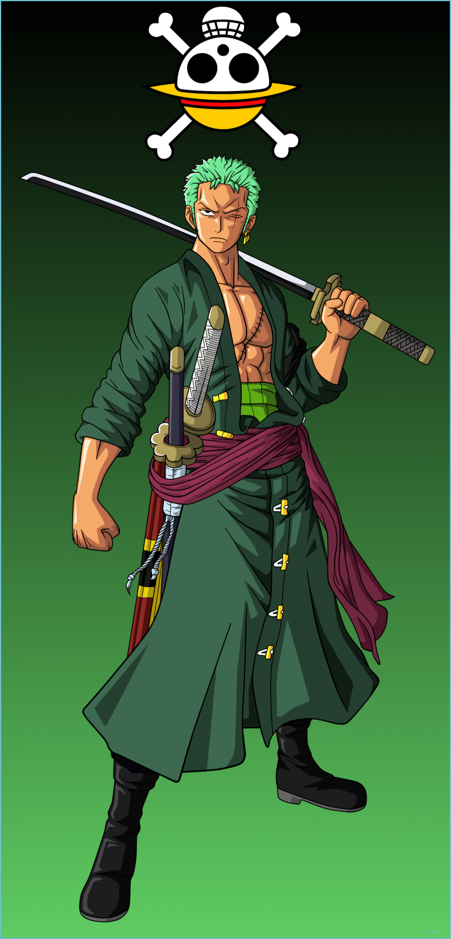 1530x3170 Zoro Desktop Wallpaper, Phone