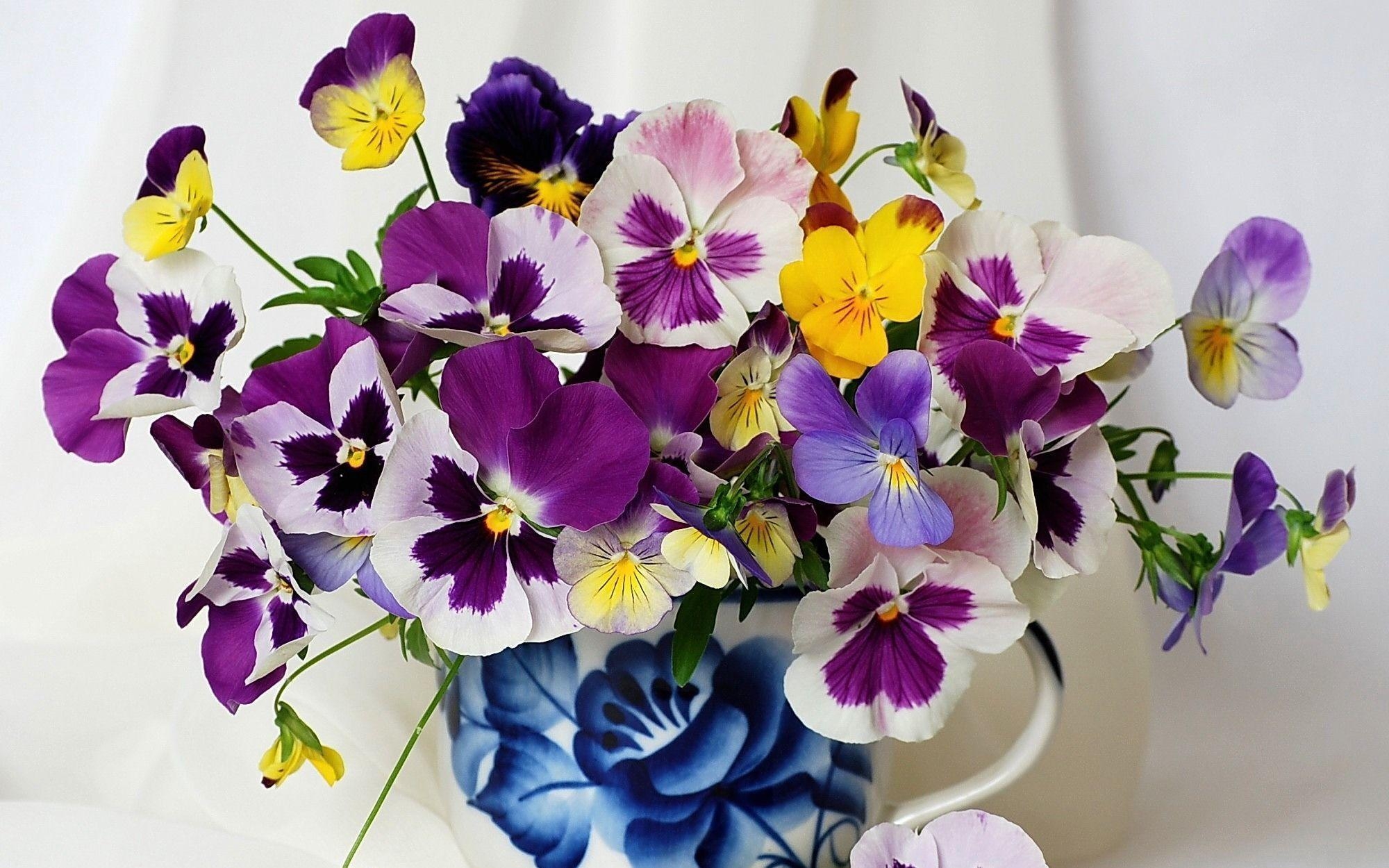 2000x1250 Bouquet of flowers viola (violet, pansy) wallpaper and image, Desktop