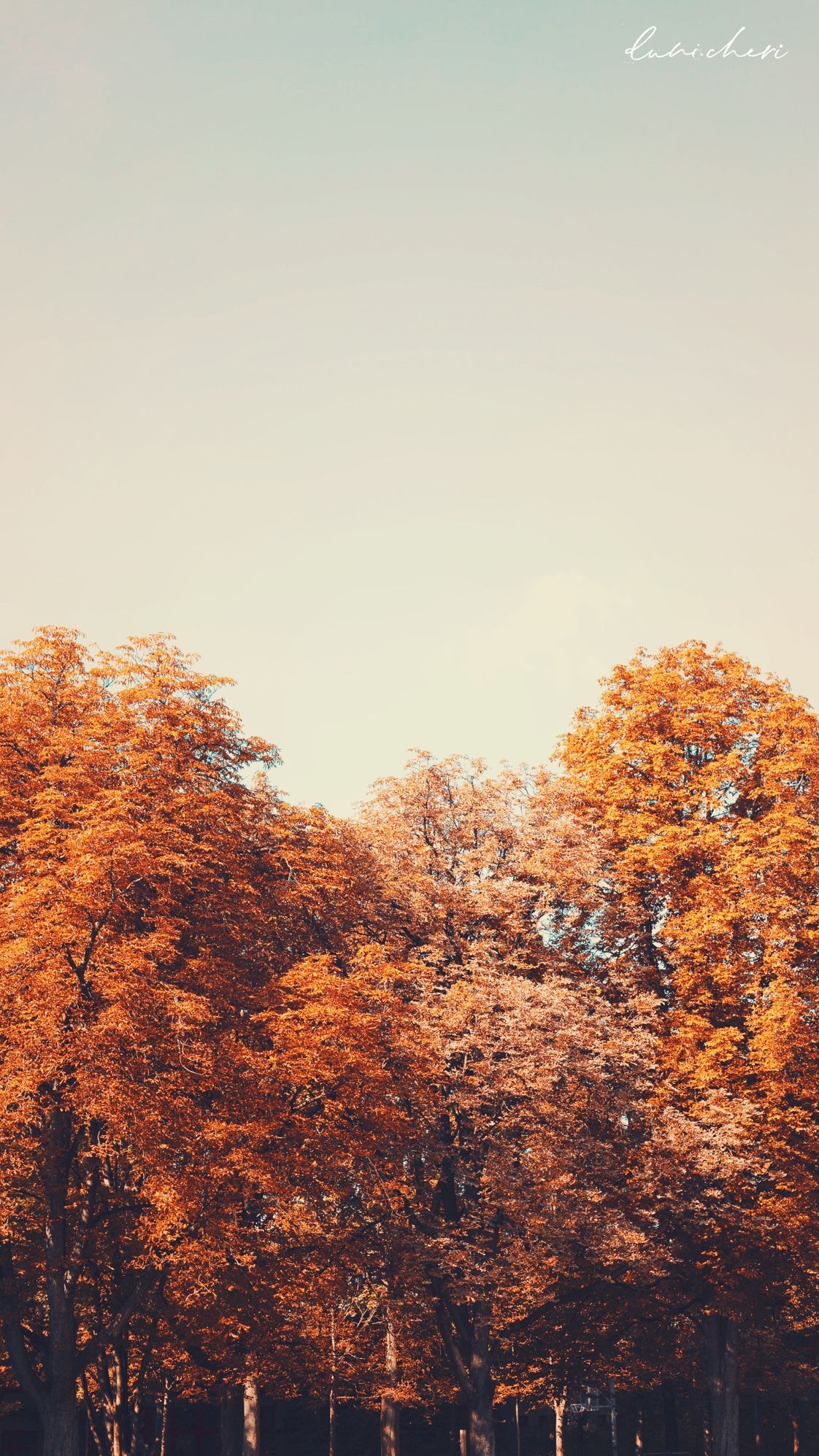 1130x2000 Aesthetic Fall Wallpaper For iPhone, Phone