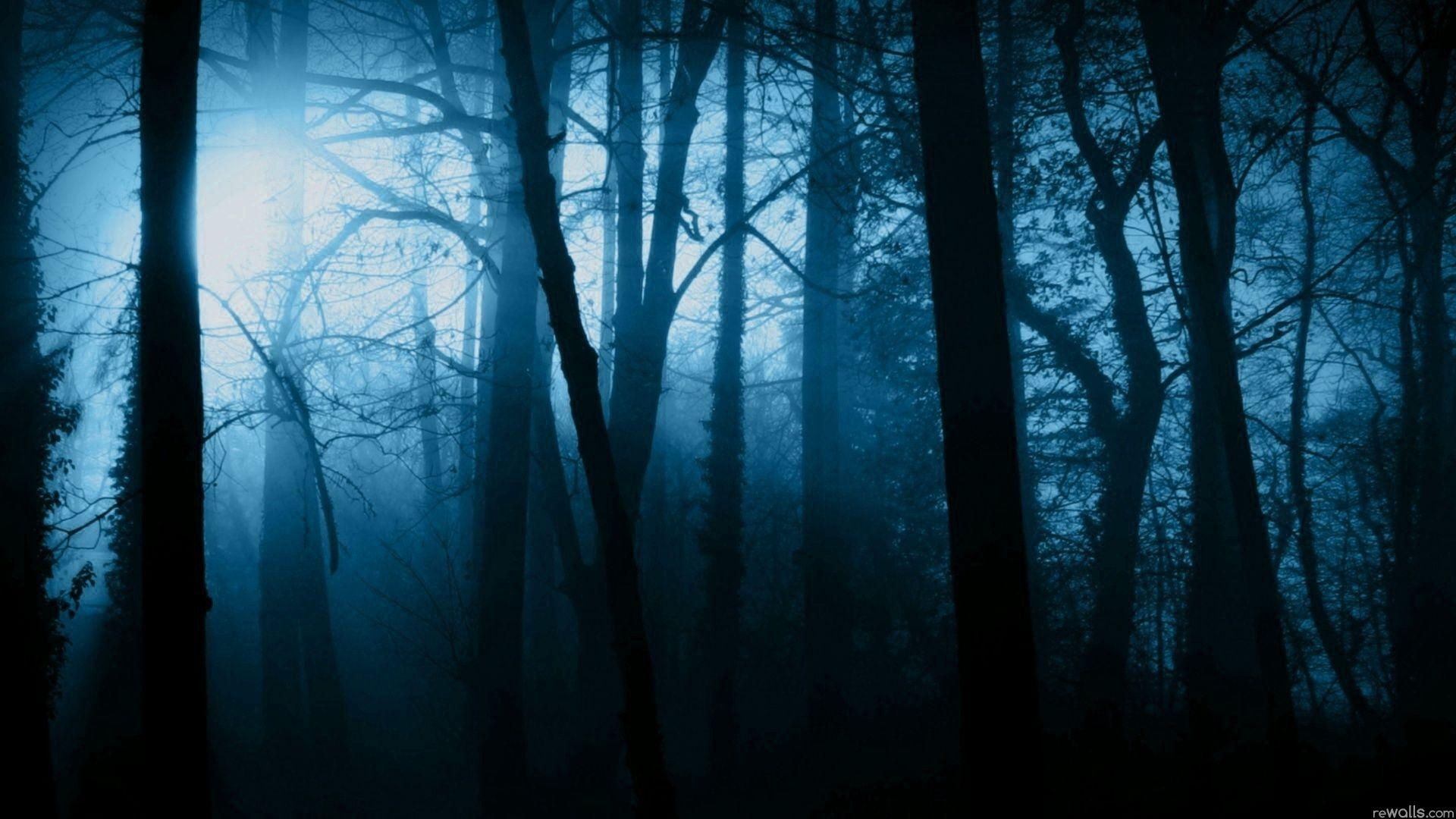 1920x1080 Scary Forest. Forest wallpaper, Night forest, Dark forest, Desktop