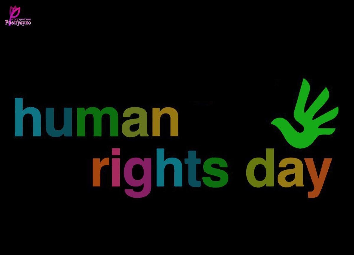 1200x870 Human Rights Day Wallpaper HD Download, Desktop