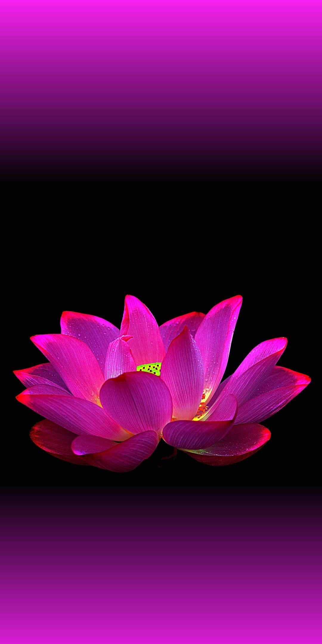 1080x2160 Wallpaper Honor View 10 Cellphone Wallpaper, Live, Phone