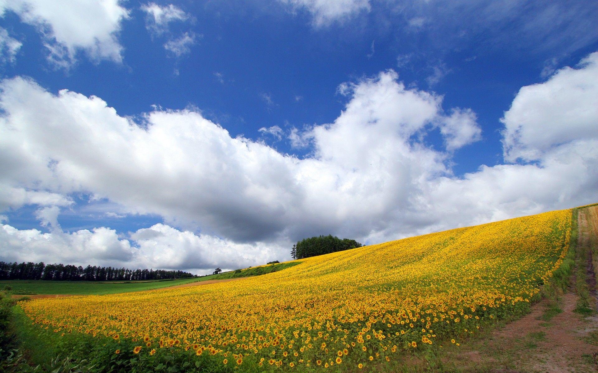 1920x1200 Landscape Hokkaido Japan 6 Travel HD Wallpaper, Desktop