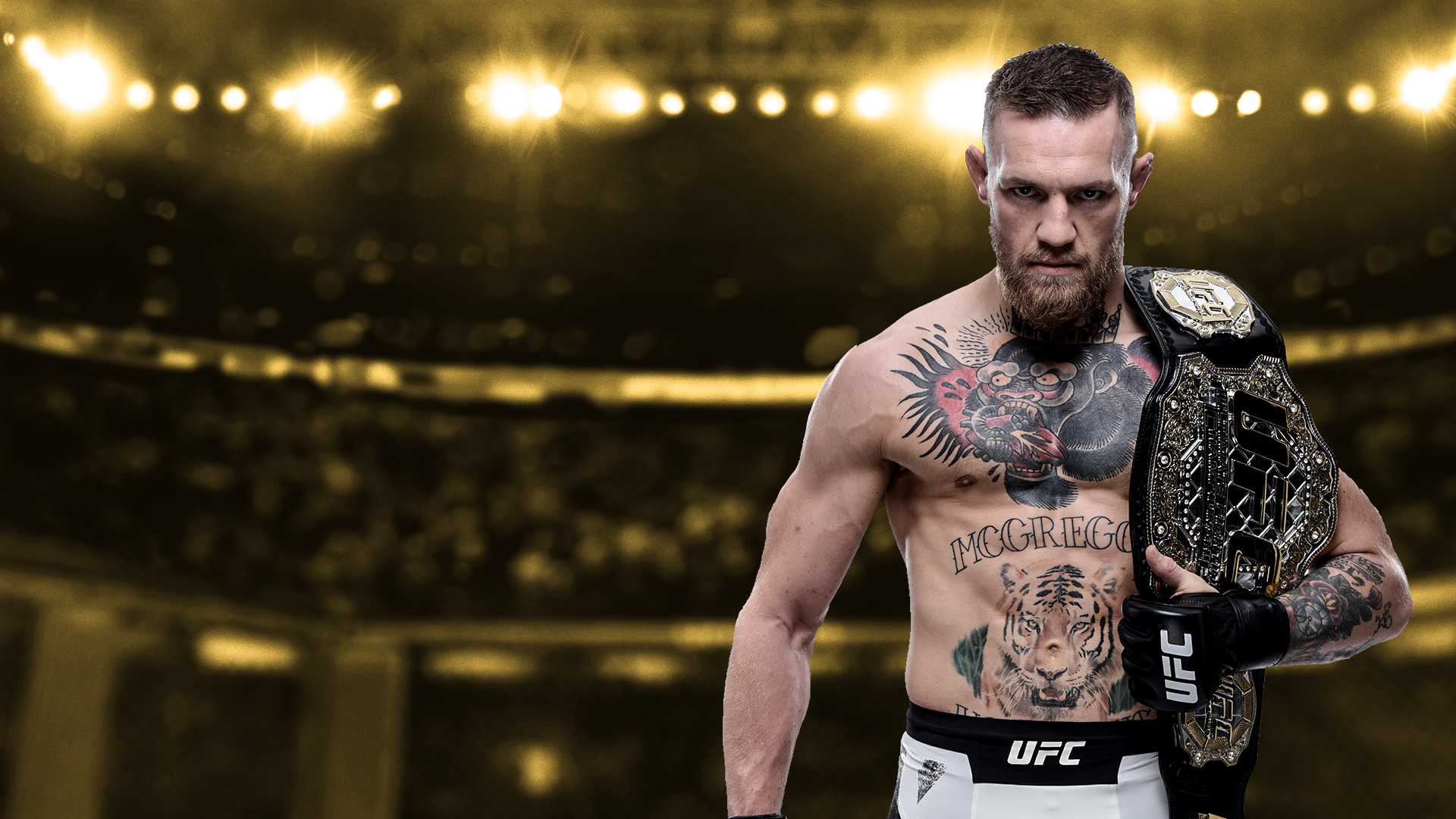 1920x1080 Ultimate Fighter Championship HD Wallpaper, Desktop