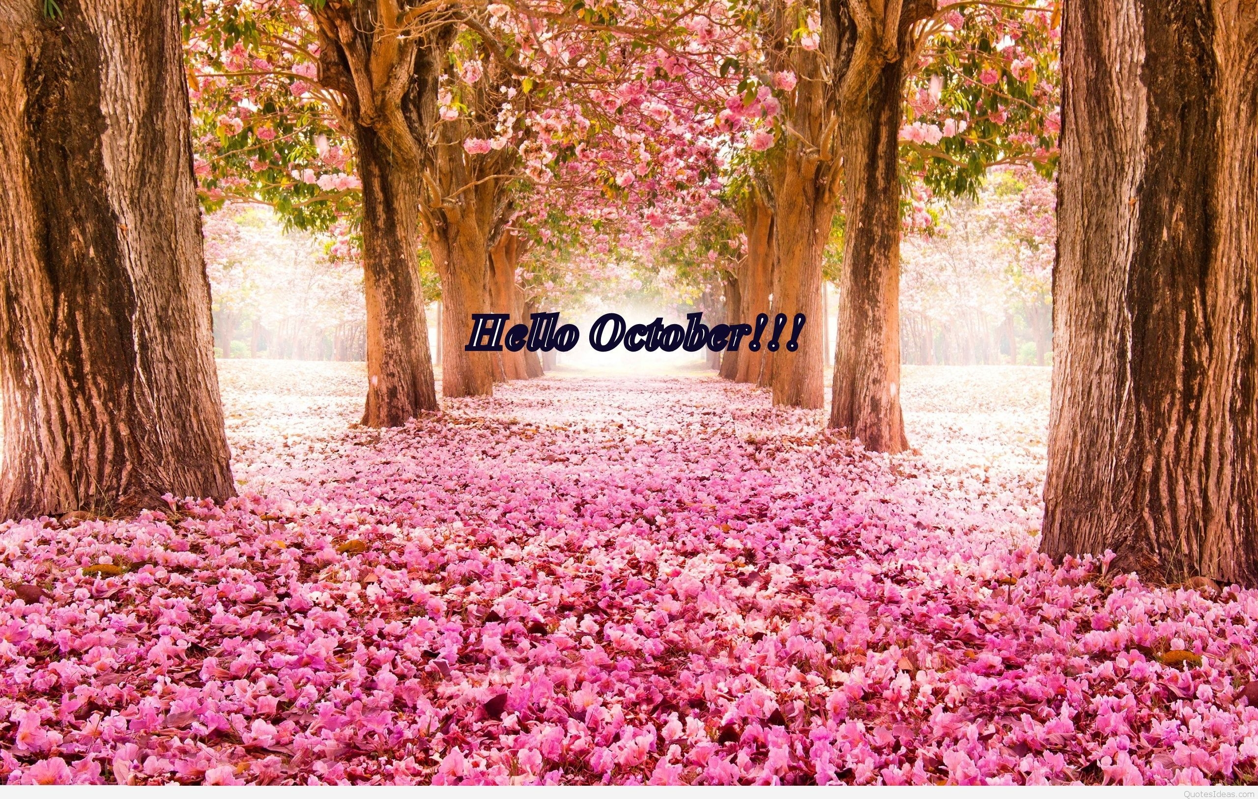 2560x1630 Hello October Wallpaper Free Hello October Background, Desktop