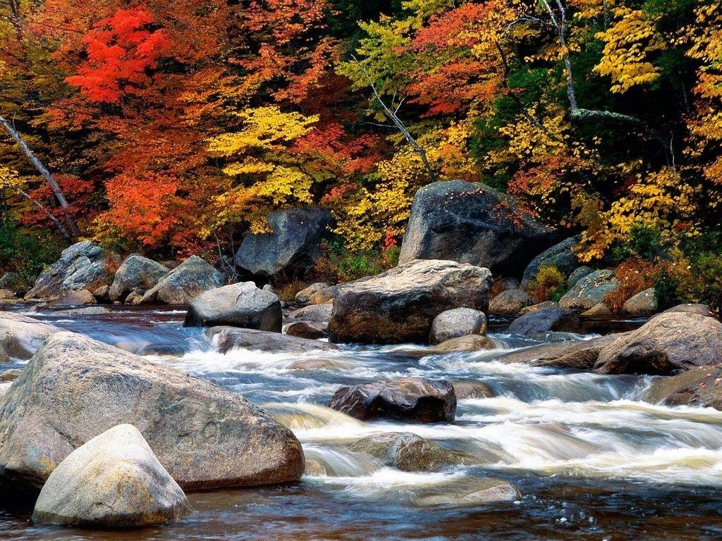 1030x770 Misc: White Mountains New Hampshire Autumn Leaves Trees Rocks Stream, Desktop