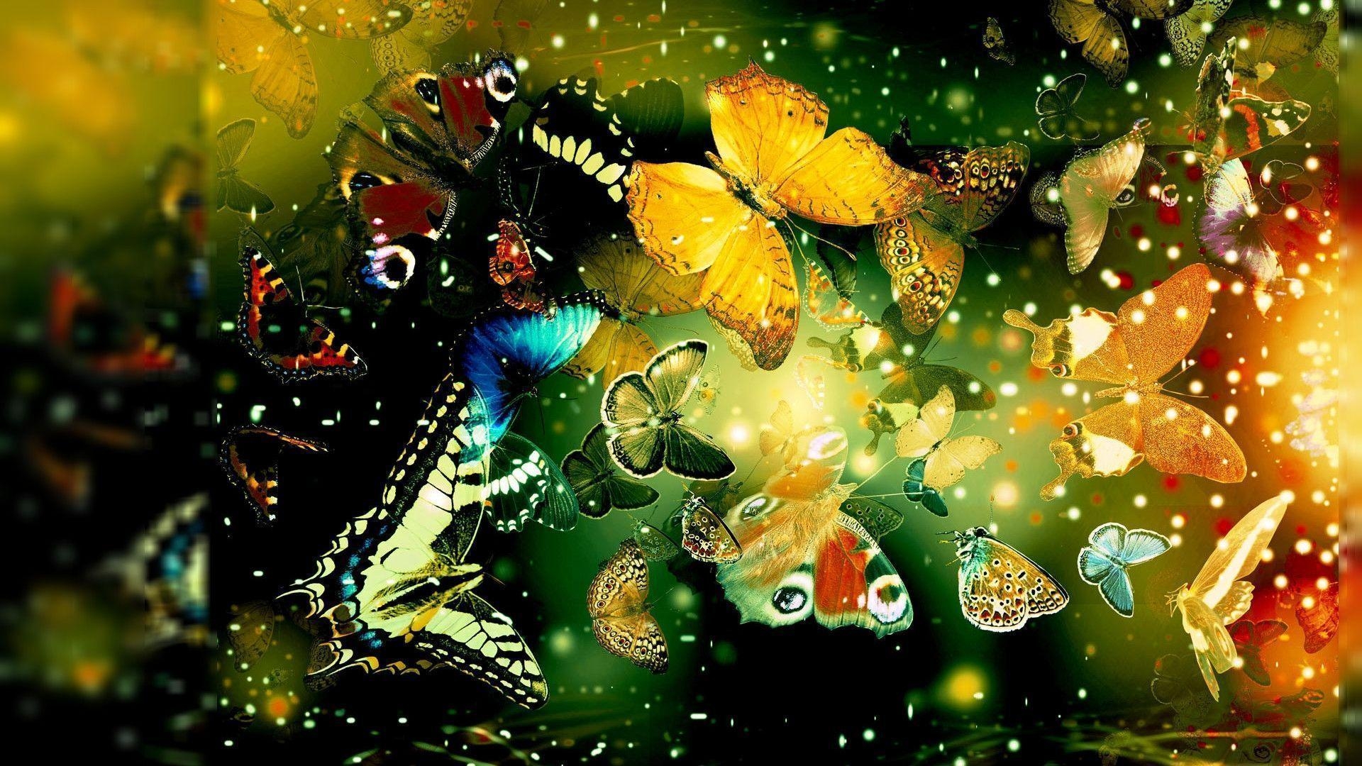 1920x1080 Buterfly Popular Wallpaper 23350 Hi Resolution. Best Free JPG, Desktop