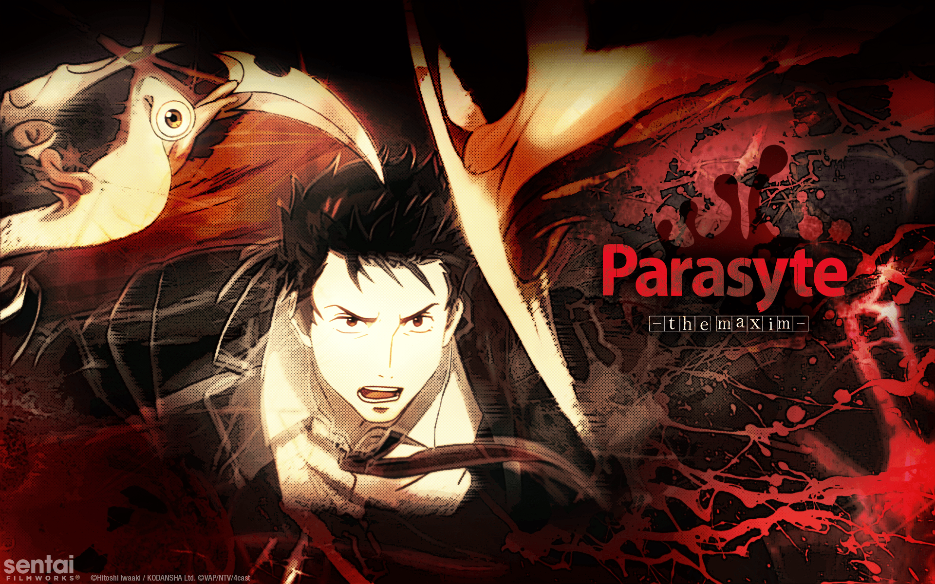 1920x1200 Parasyte -the maxim- Official Shinichi & Migi wallpaper from Sentai, Desktop