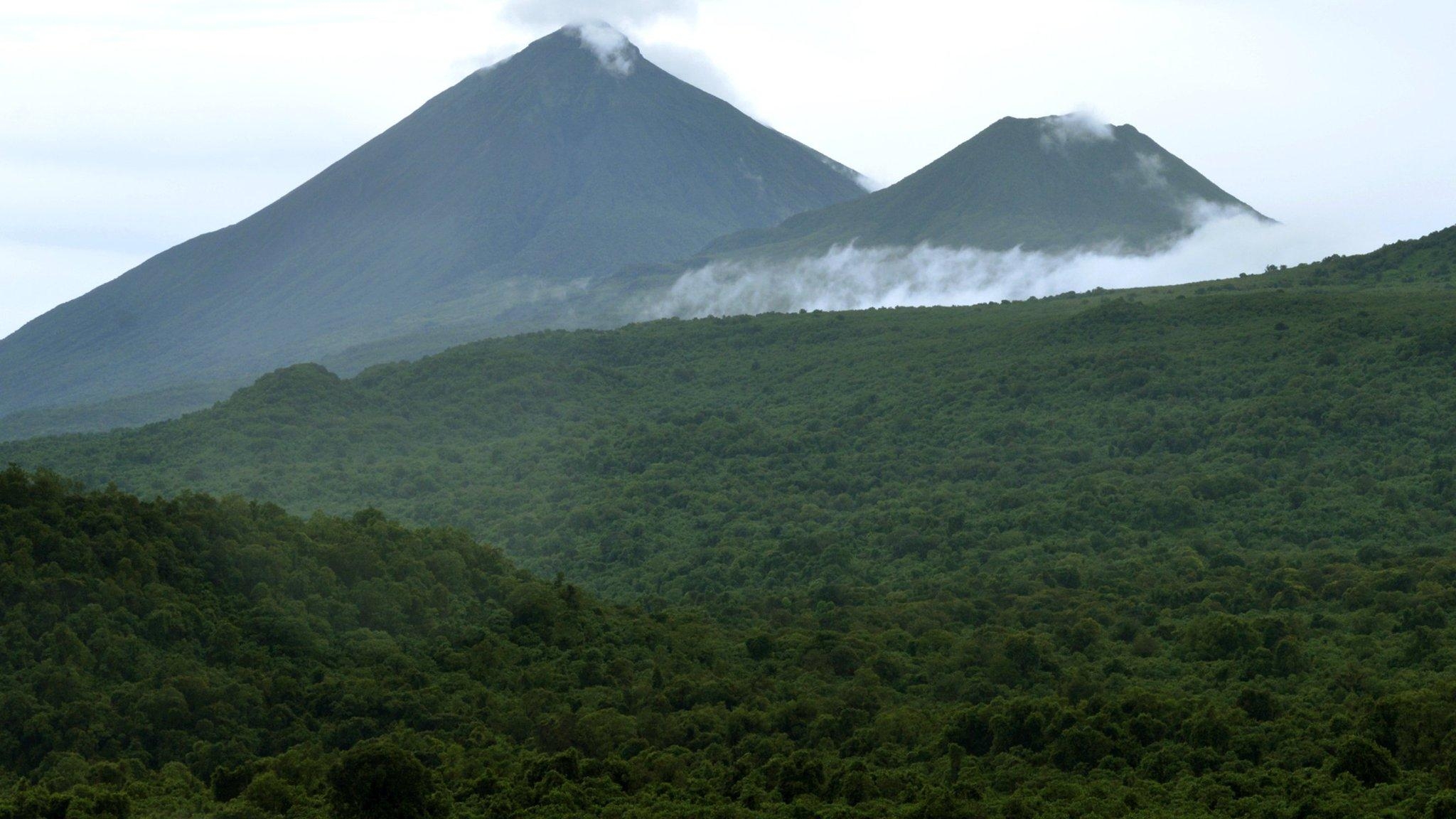 2050x1160 Democratic Republic of Congo signs deal to protect rainforest, Desktop