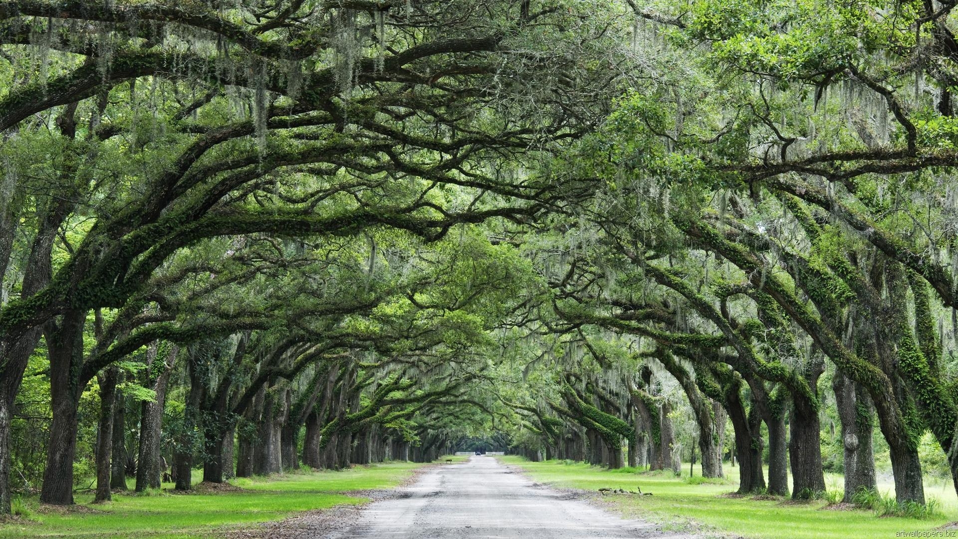 1920x1080 Savannah GA Desktop Wallpaper, Desktop