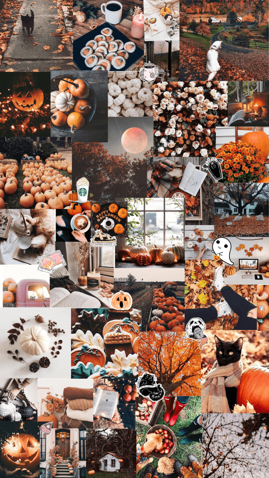 1080x1920 autumn / halloween aesthetic background. Cute fall wallpaper, Fall wallpaper, iPhone wallpaper fall, Phone