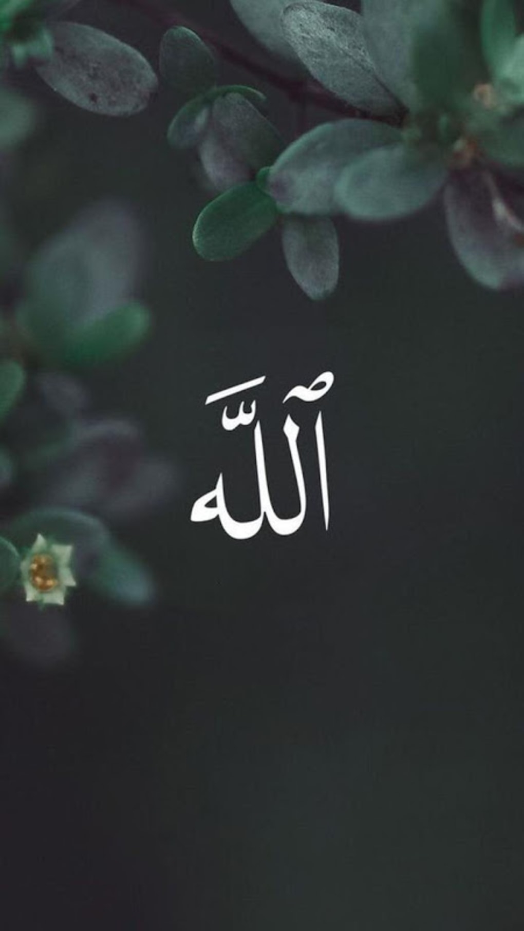 1020x1820 Allah Wallpaper APK for Android, Phone