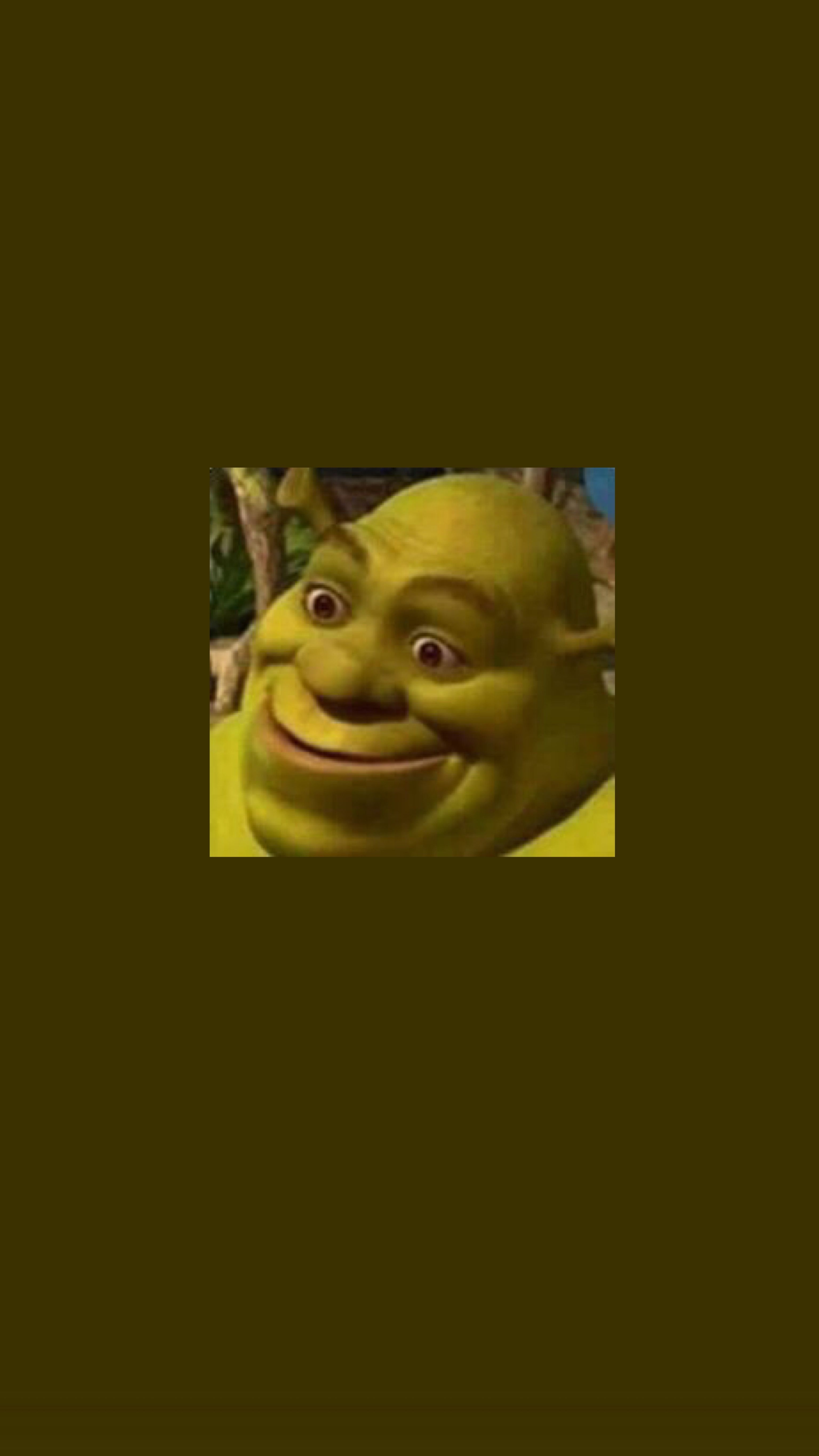 3080x5460 aesthetic shrexy shrek iphone wallpaper background backdrop, Phone