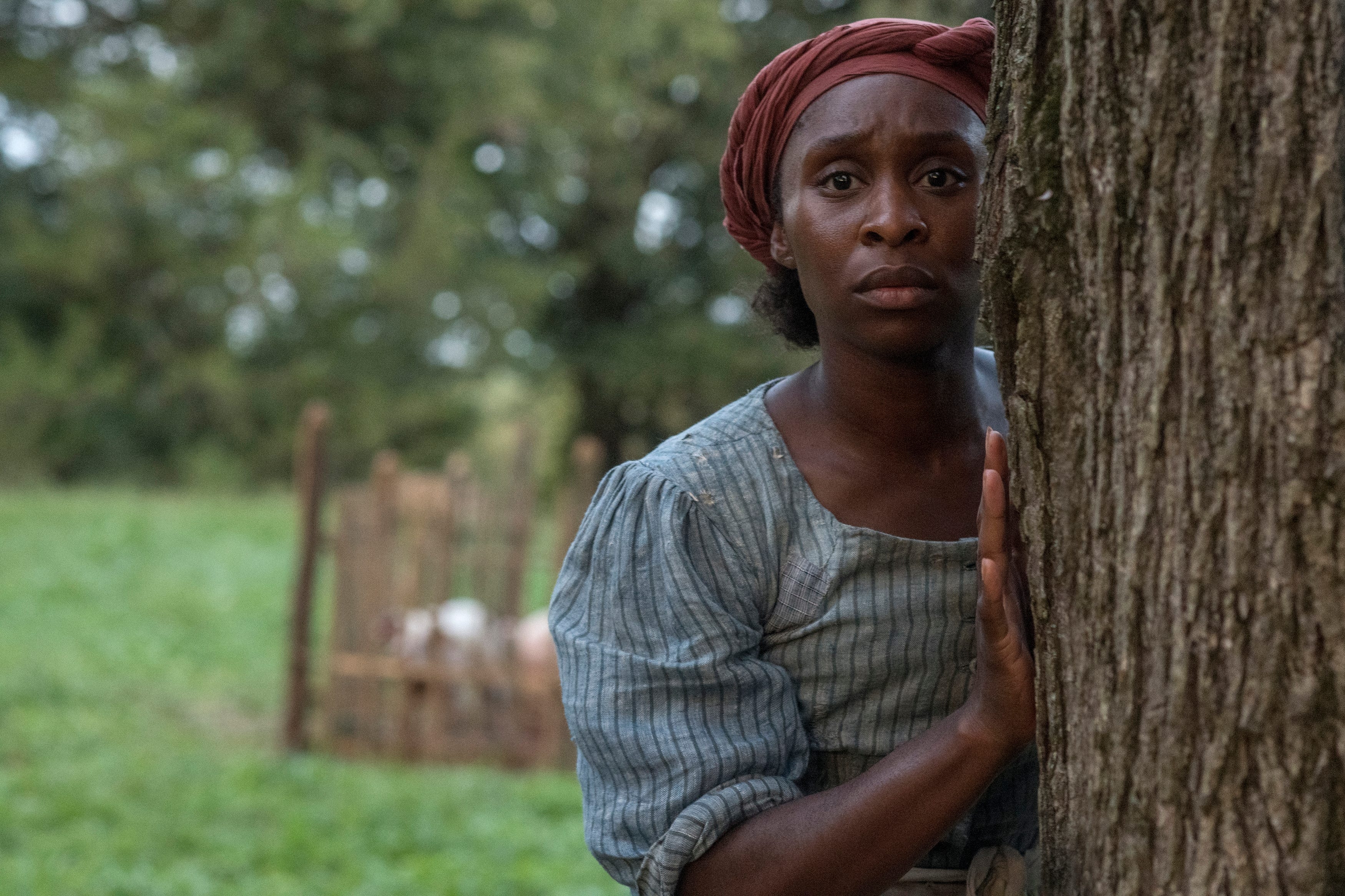 3500x2340 Harriet': Fact Checking The New Harriet Tubman Movie, Desktop