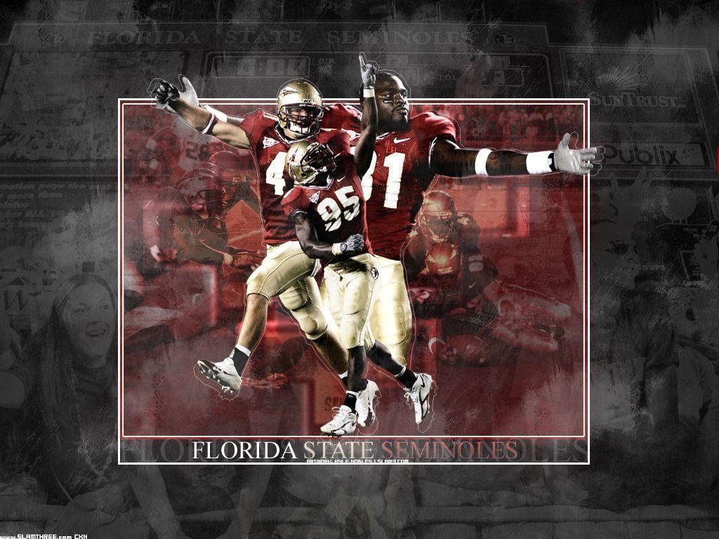 1030x770 FSU New Logo iPhone Wallpaper, Desktop