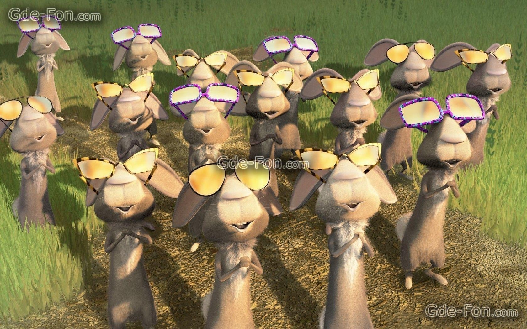 1680x1050 Download wallpaper Cartoon, Open season, Hares, glasses free, Desktop