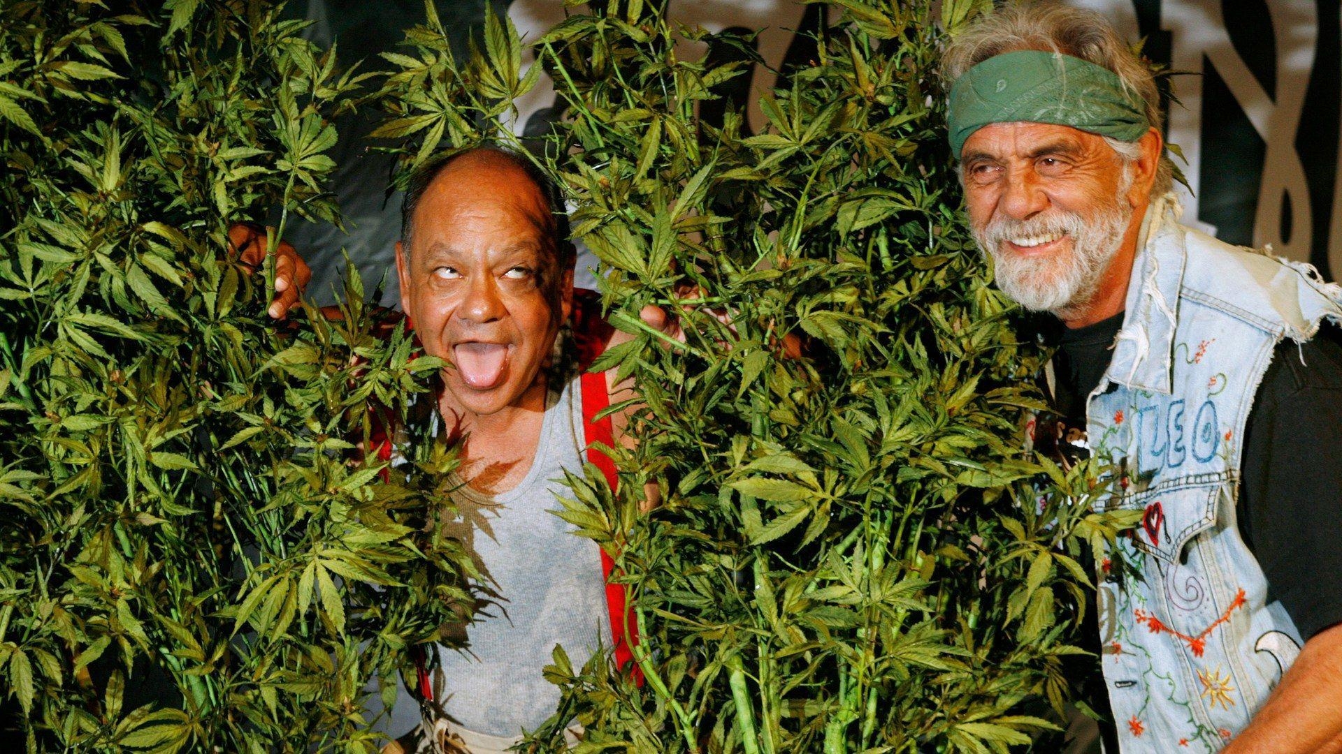 1920x1080 Cheech and Chong Announce First Film Together in Over 30 Years, Desktop