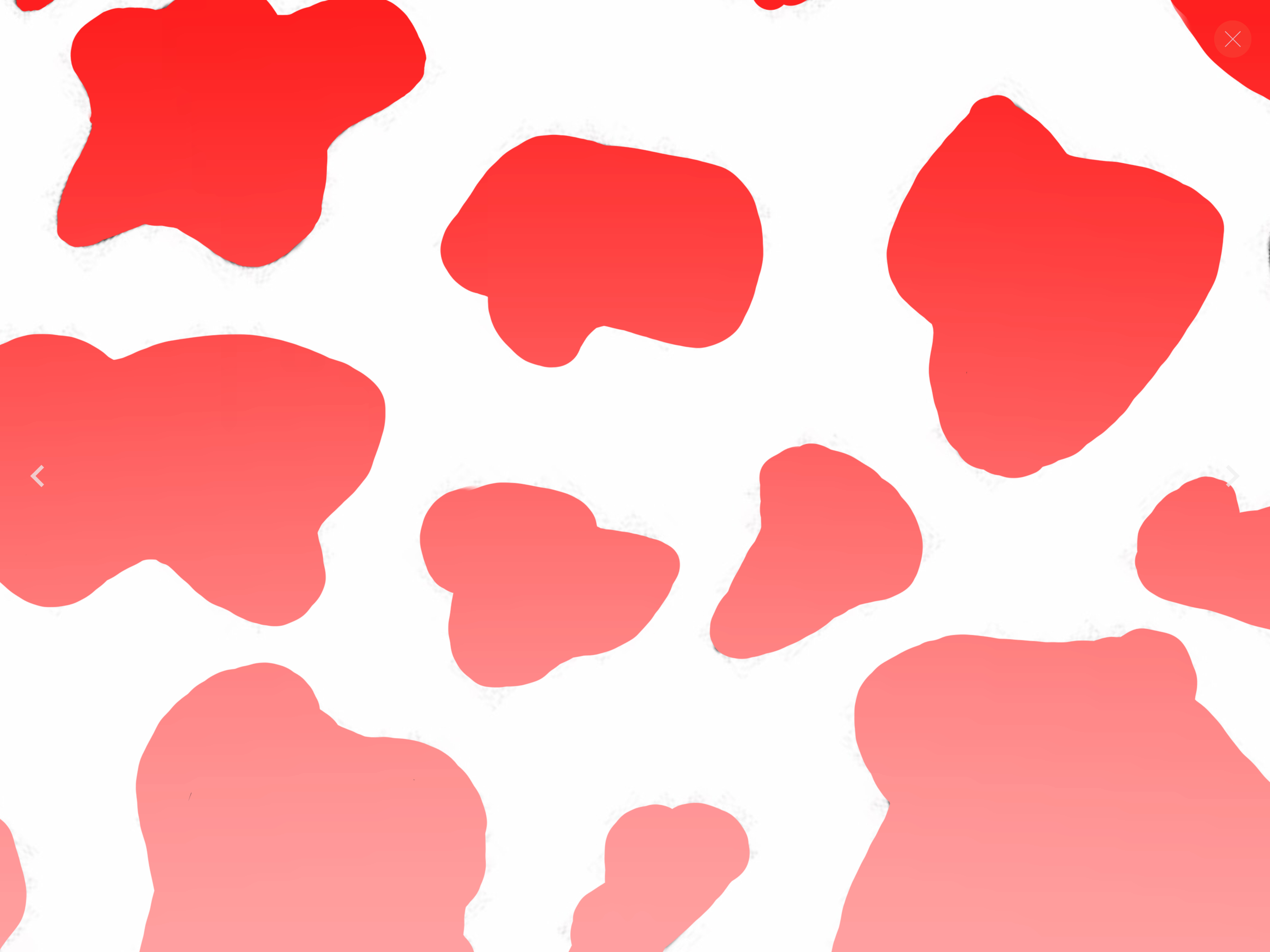 2740x2050 red cow print ❤️. Cow print wallpaper, Cow print, Print wallpaper, Desktop