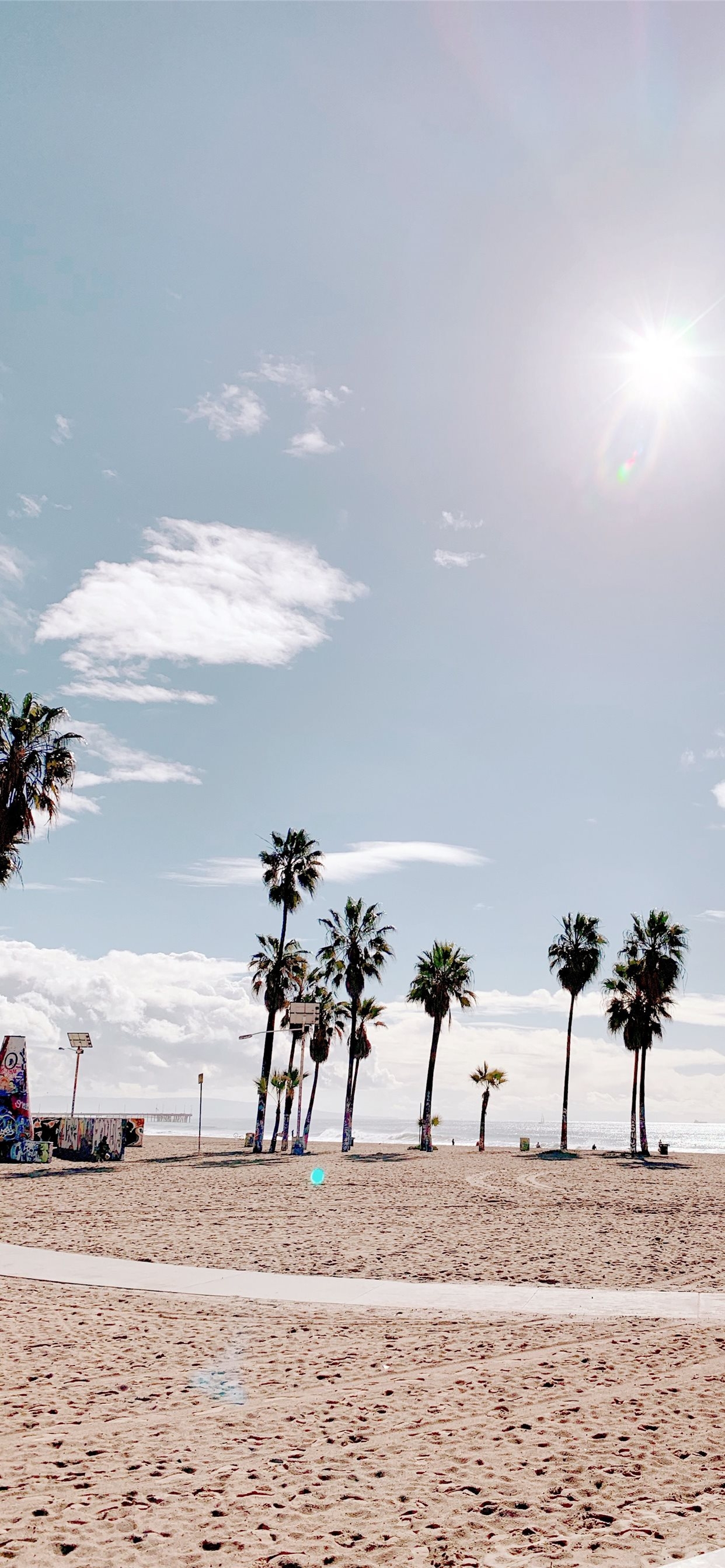 1250x2690 Palm Trees in Venice Beach Los Angeles palmtrees v. iPhone X Wallpaper Free Download, Phone