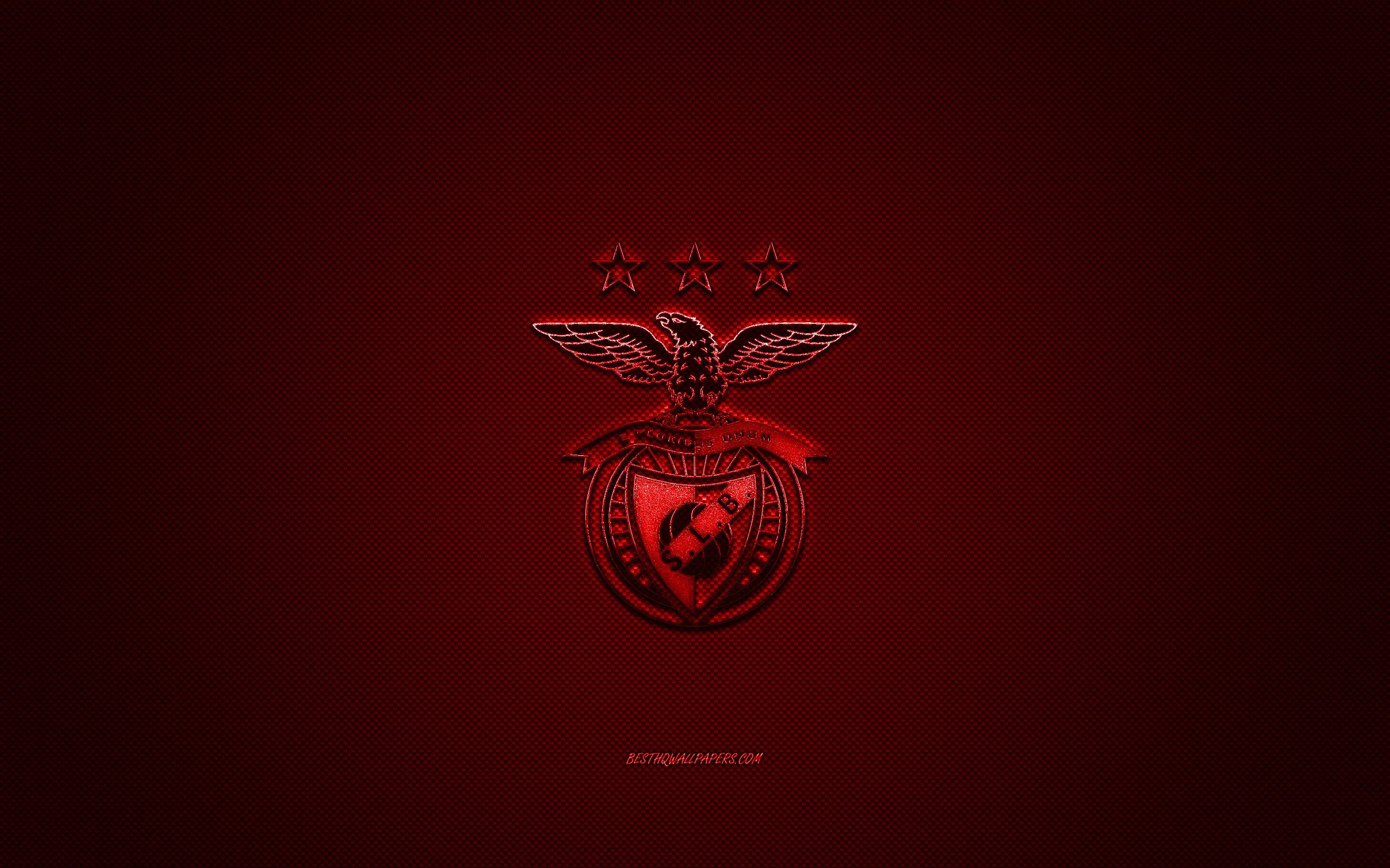 2560x1600 Download wallpaper SL Benfica, Portuguese football club, Primeira Liga, red logo, red carbon fiber background, football, Lisbon, Portugal, SL Benfica logo for desktop with resolution. High Quality HD picture wallpaper, Desktop