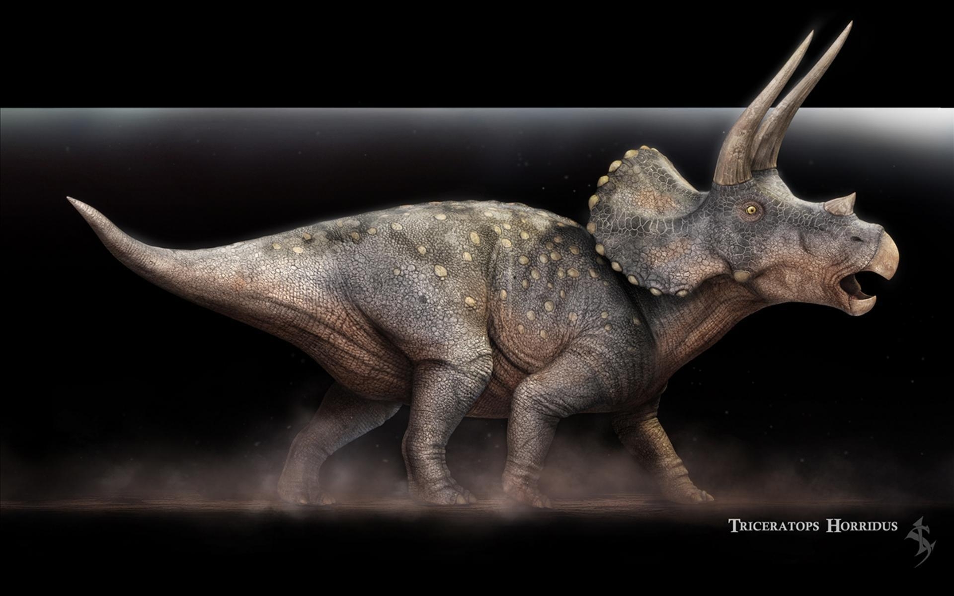 1920x1200 Triceratops Horridus Konstantinov HD desktop wallpaper, Desktop