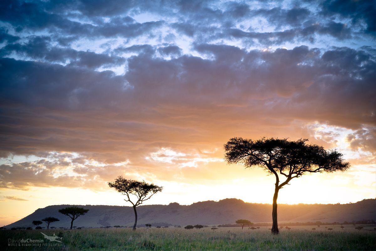 1200x800 Postcard & Wallpaper from Kenya. David duChemin, Desktop