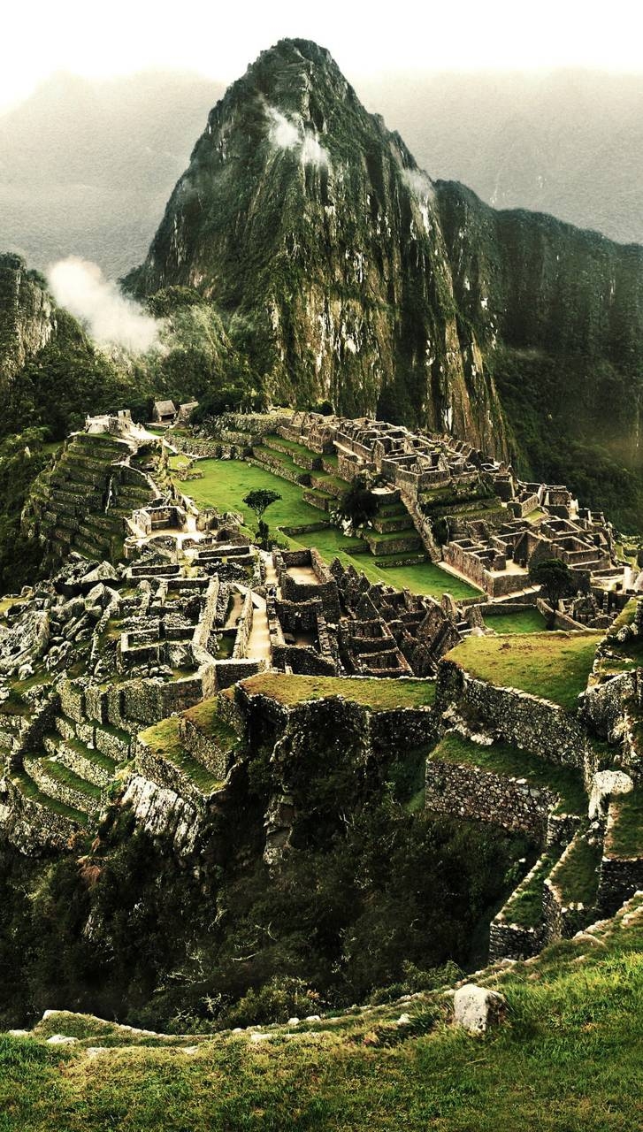 730x1280 Machu Picchu Wallpaper, Phone