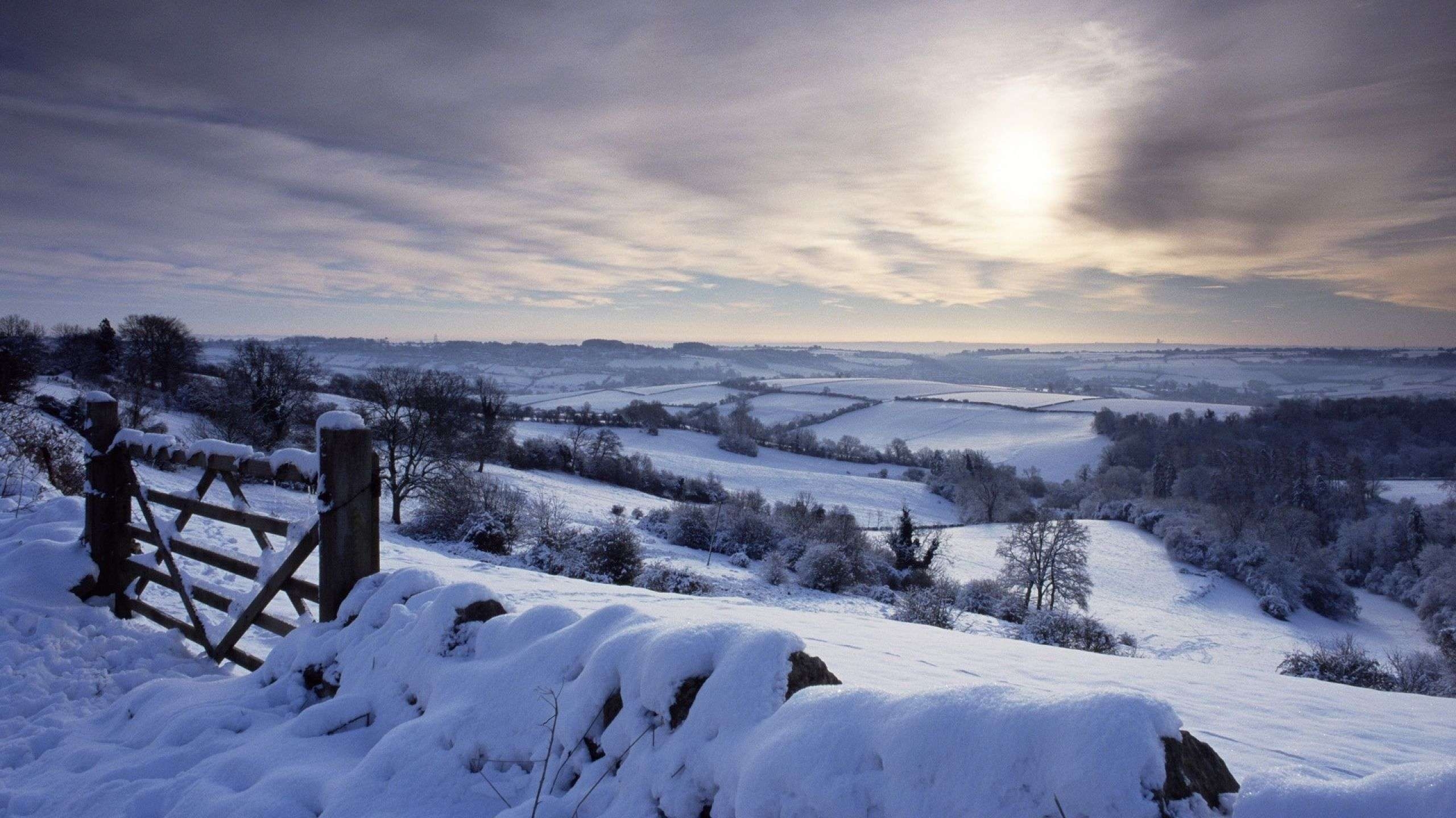 2560x1440 England Winter Desktop Wallpaper, Desktop