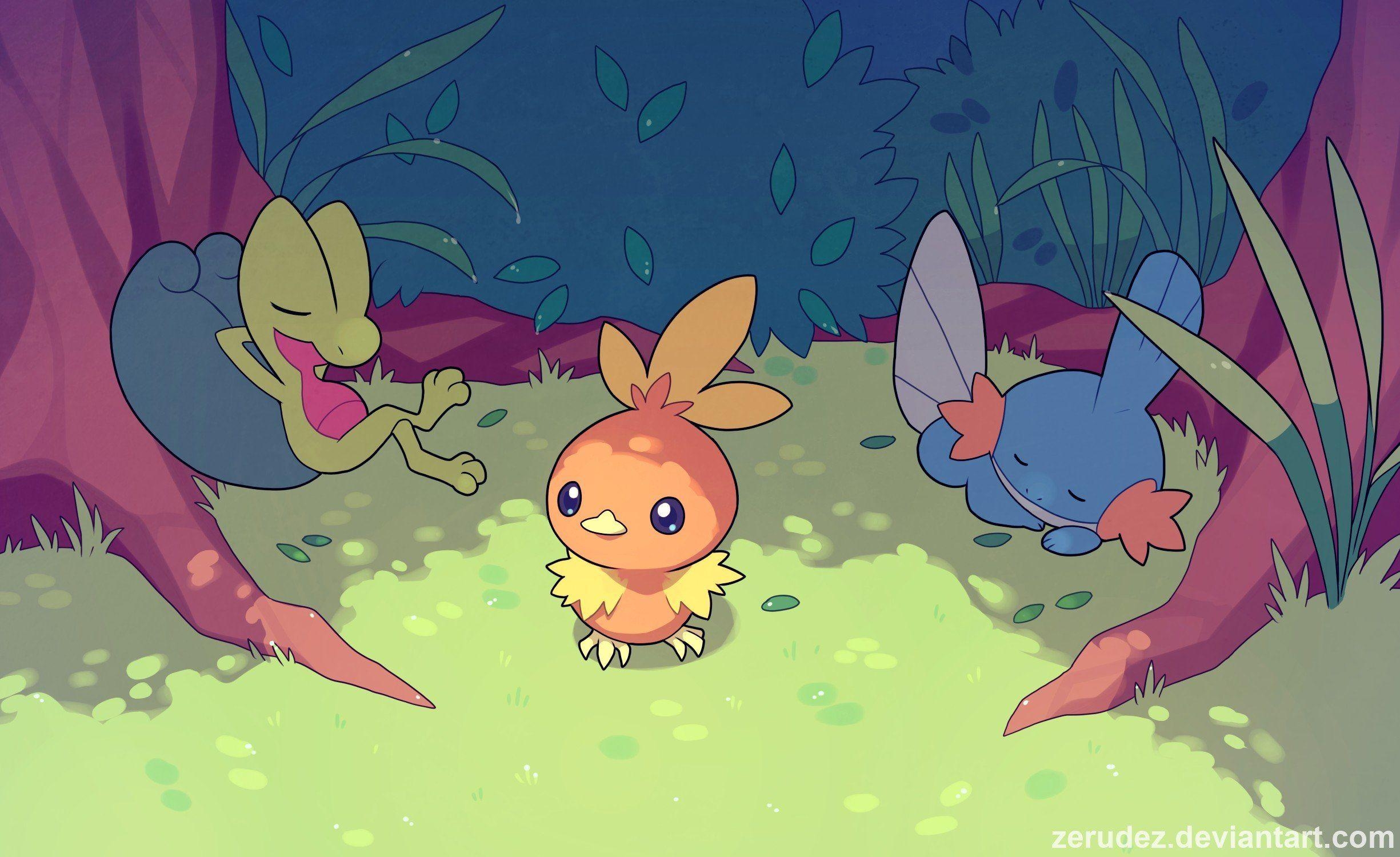 2450x1500 Torchic, Pokémon, Treecko, Mudkip HD Wallpaper / Desktop and Mobile, Desktop