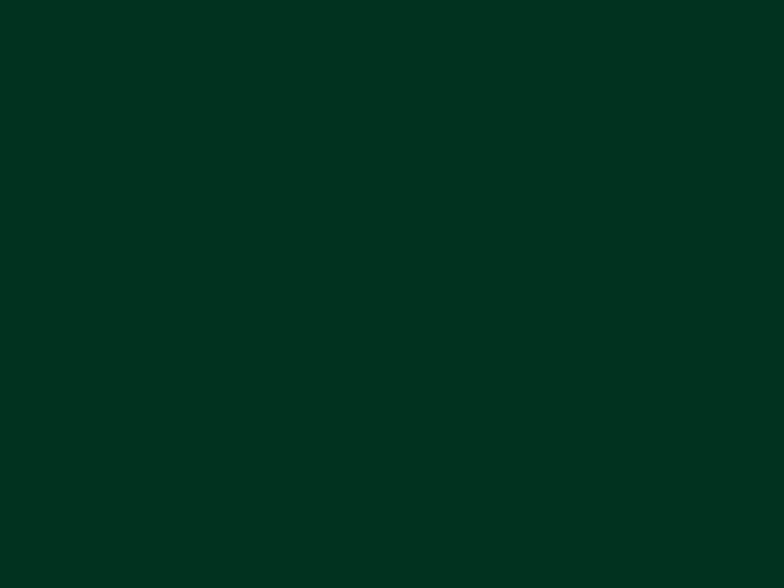 1600x1200 Dark Green Solid Color Background, Desktop