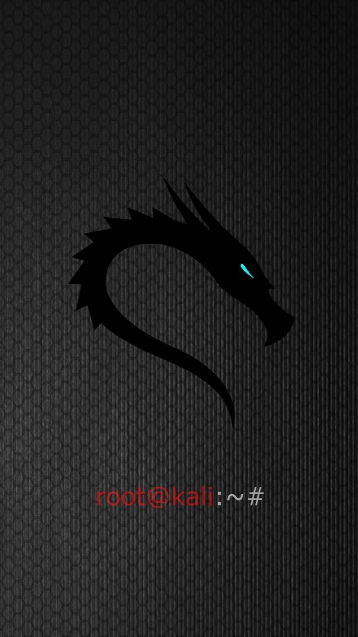 720x1280 Kali Linux wallpaper, Phone