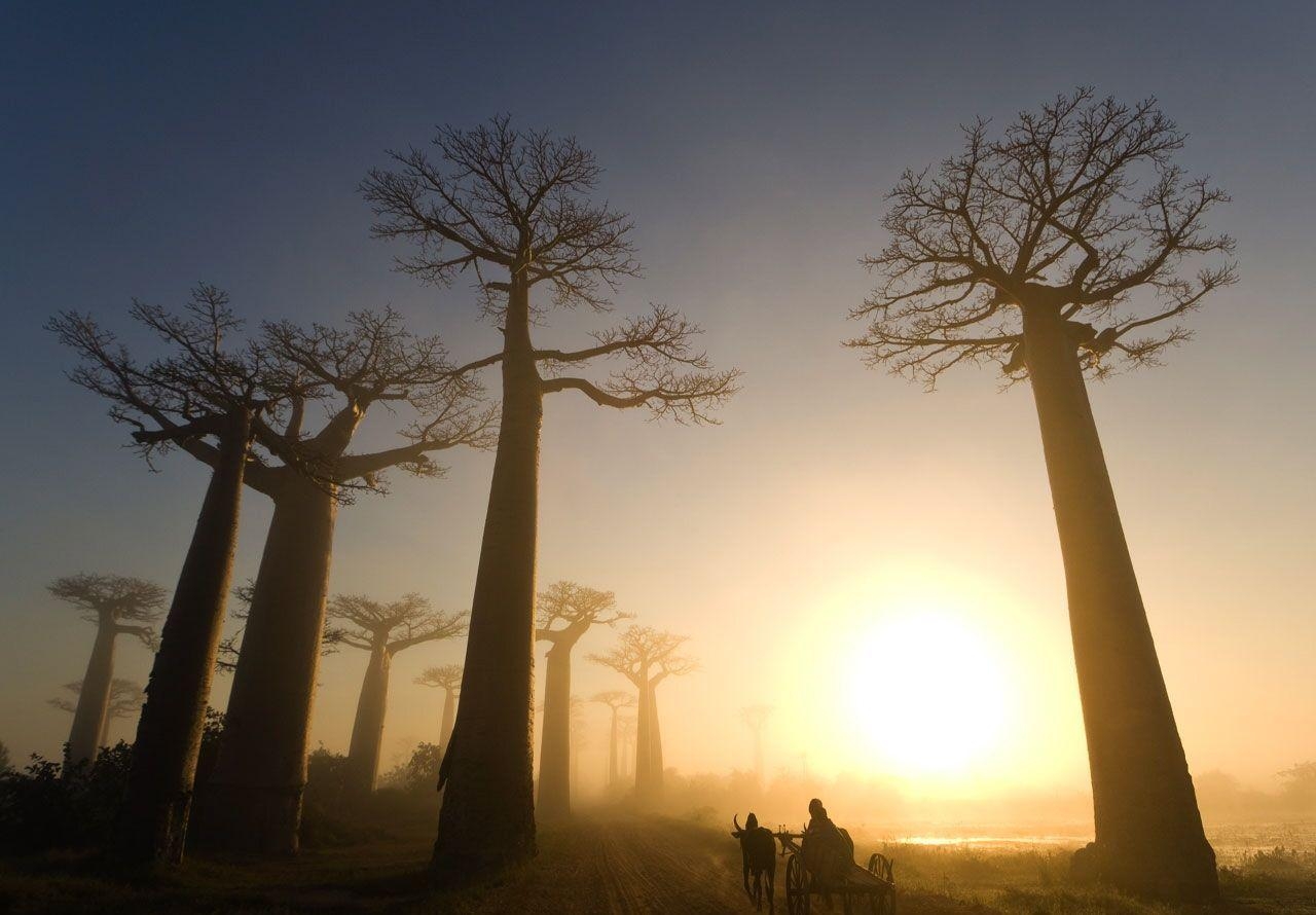 1280x890 Madagascar. Wallpaper, Desktop