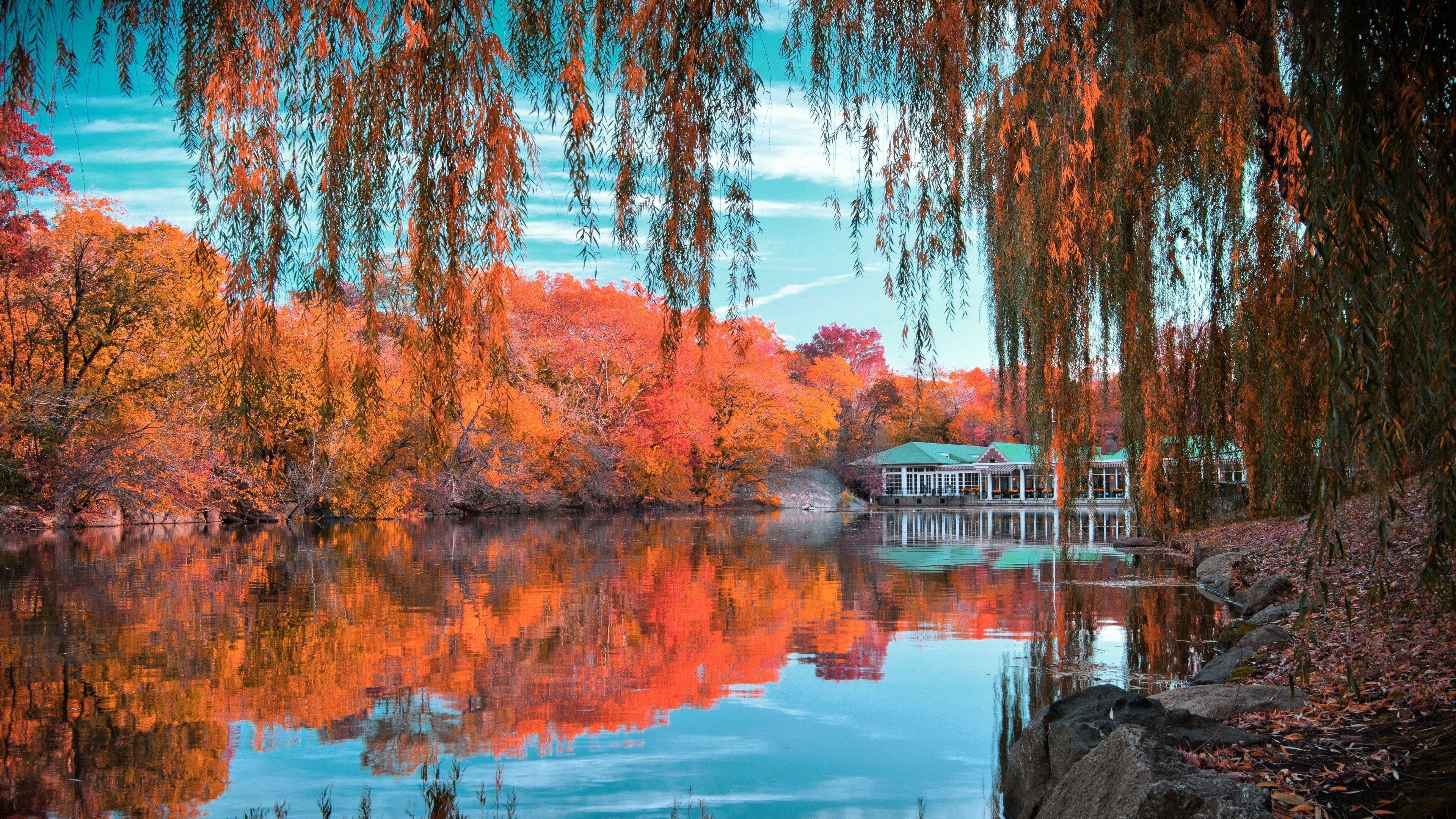 3840x2160 of Autumn 4K wallpaper for your desktop or mobile screen, Desktop