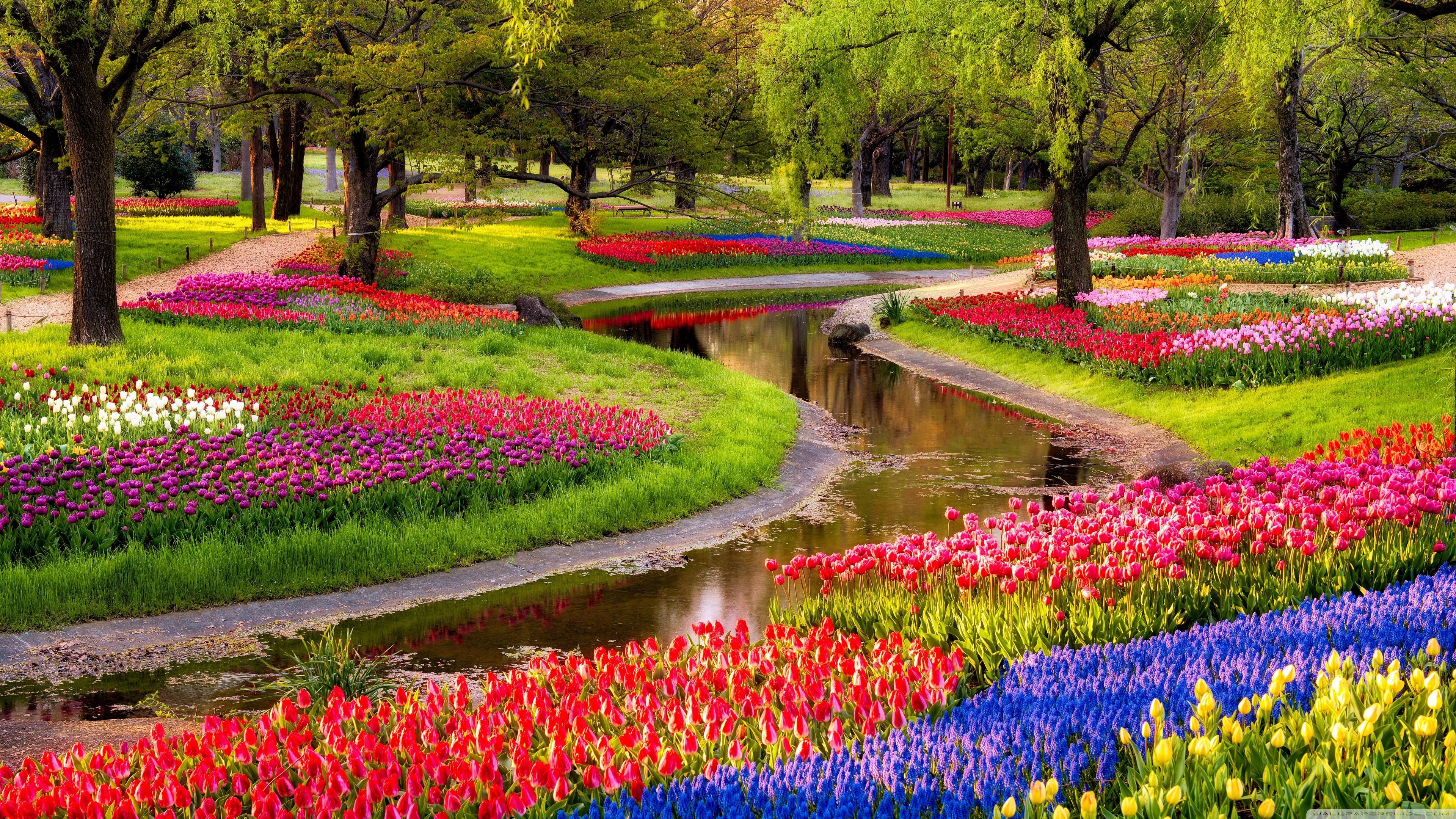 3840x2160 Beautiful Spring Garden Ultra HD Desktop Background Wallpaper, Desktop