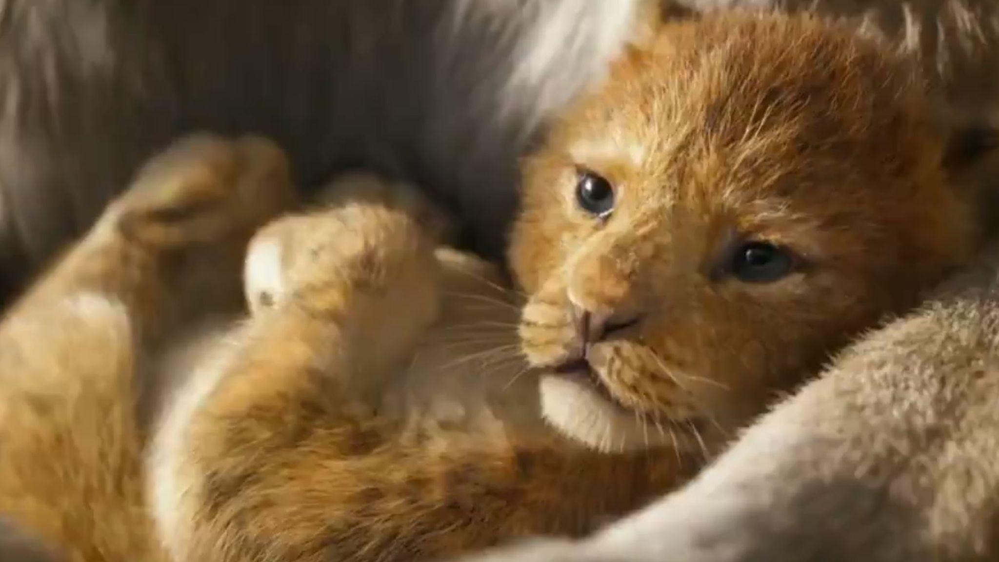 2050x1160 The Lion King: Watch first trailer for remake starring Beyonce, Desktop