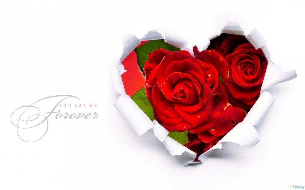 1030x640 Red Roses Wallpaper HD Wallpaper Flowers Wallpaper 2014. Tee, Desktop