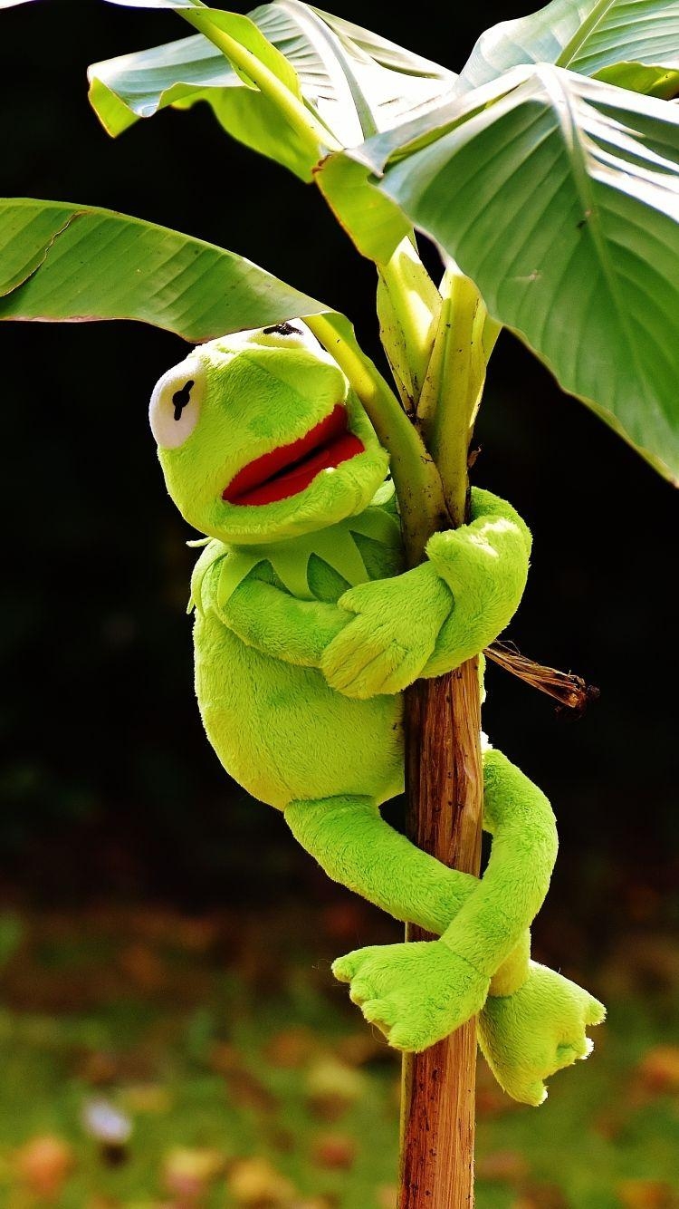 750x1340 Download Wallpaper  Toy, Kermit the frog, Plant iPhone 6, Phone