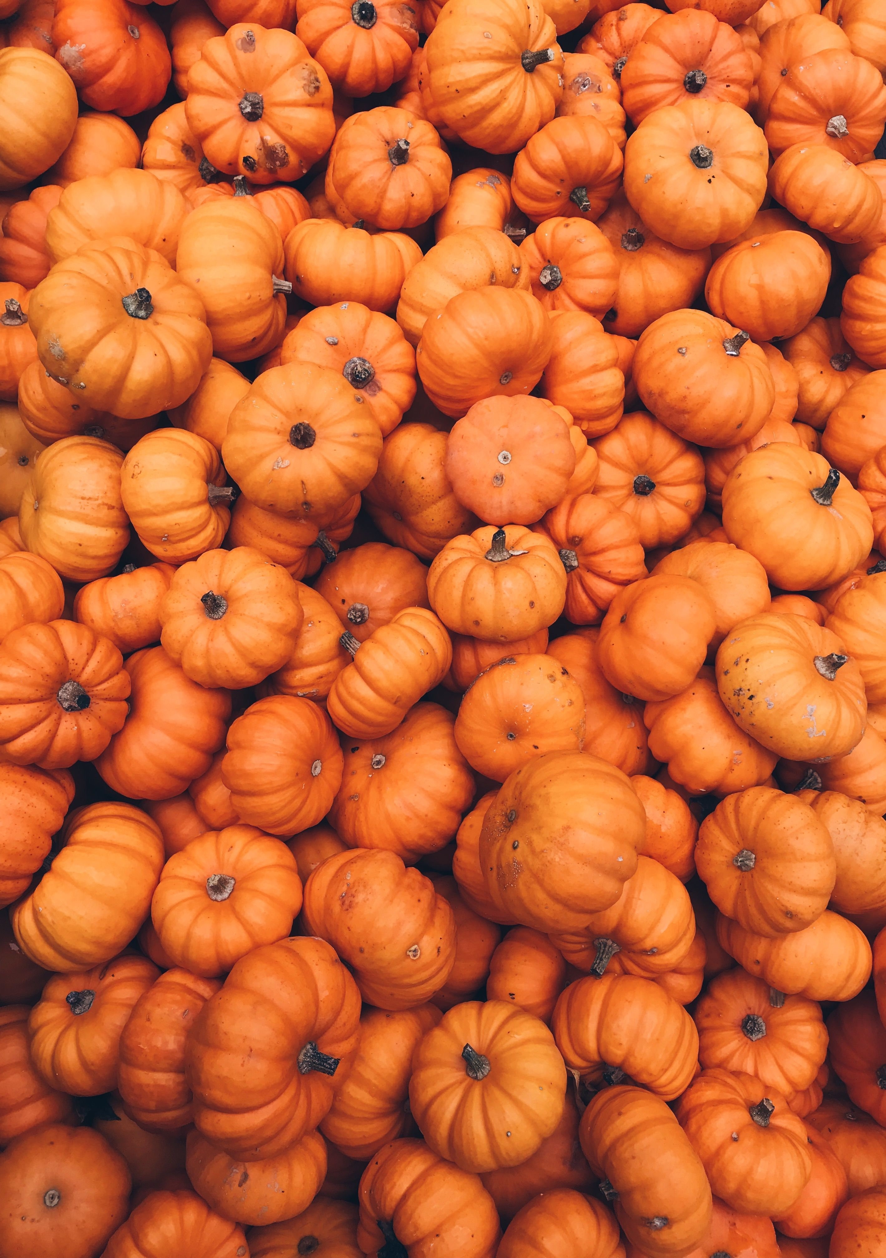 2850x4040 Aesthetic Pumpkin Wallpaper Free Aesthetic Pumpkin Background, Phone