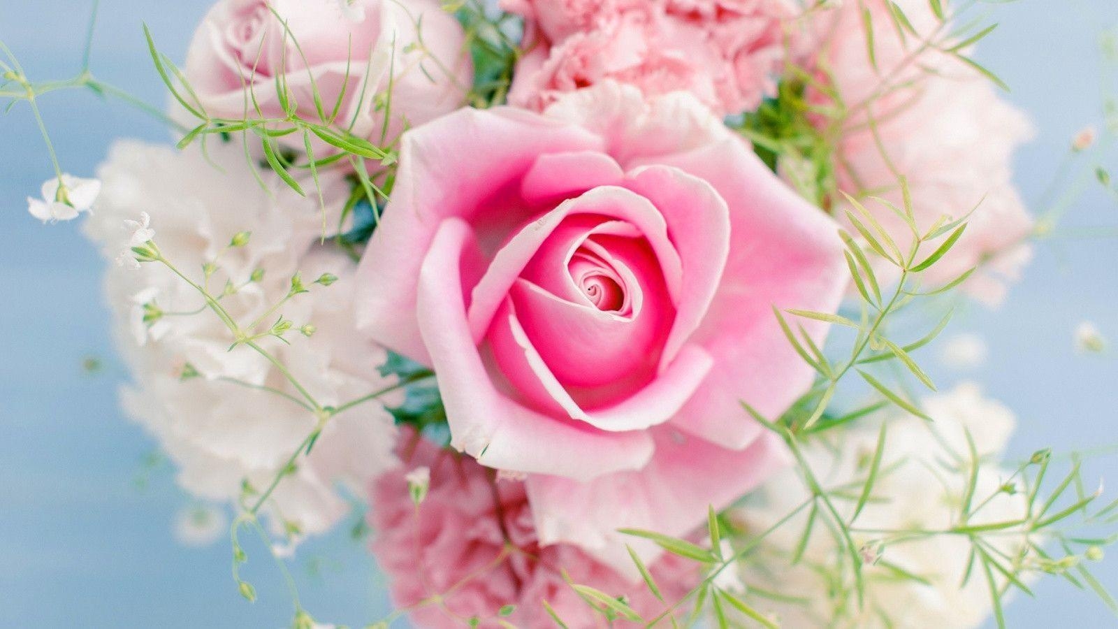 1600x900 Pink rose bouquet Wallpaper, Desktop