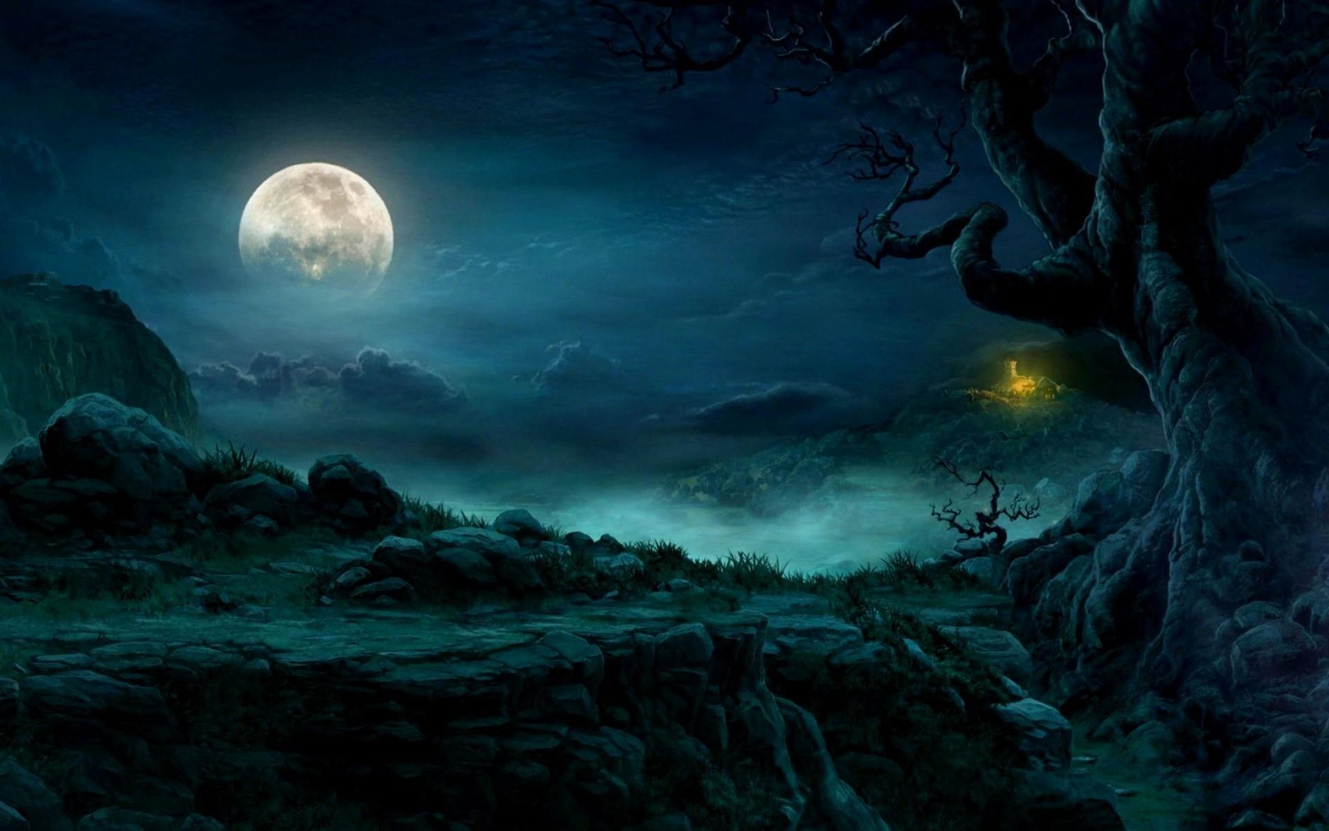 1920x1200 Full Moon Wallpaper Forest Night Moon, HD Wallpaper, Desktop