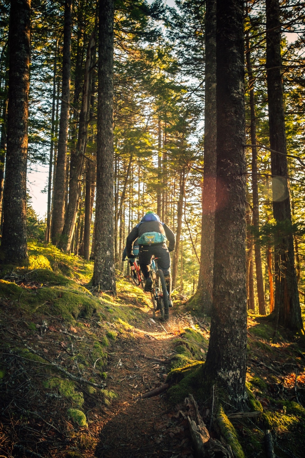 1000x1500 Mountain Bike Picture. Download Free Image, Phone