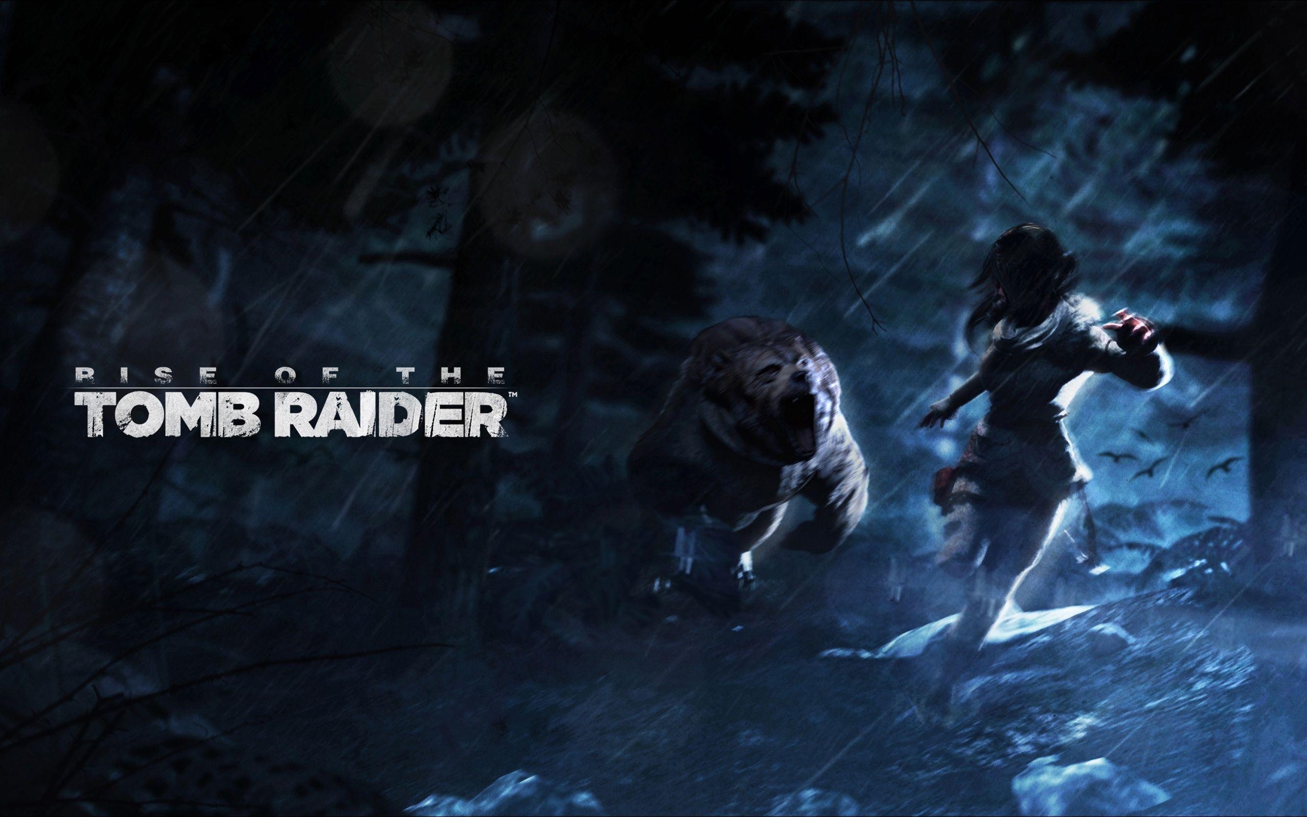 2560x1600 Rise of the Tomb Raider Artwork Wallpaper in jpg format for free, Desktop