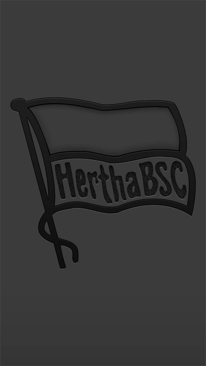 720x1280 Hertha BSC Wallpaper, Phone