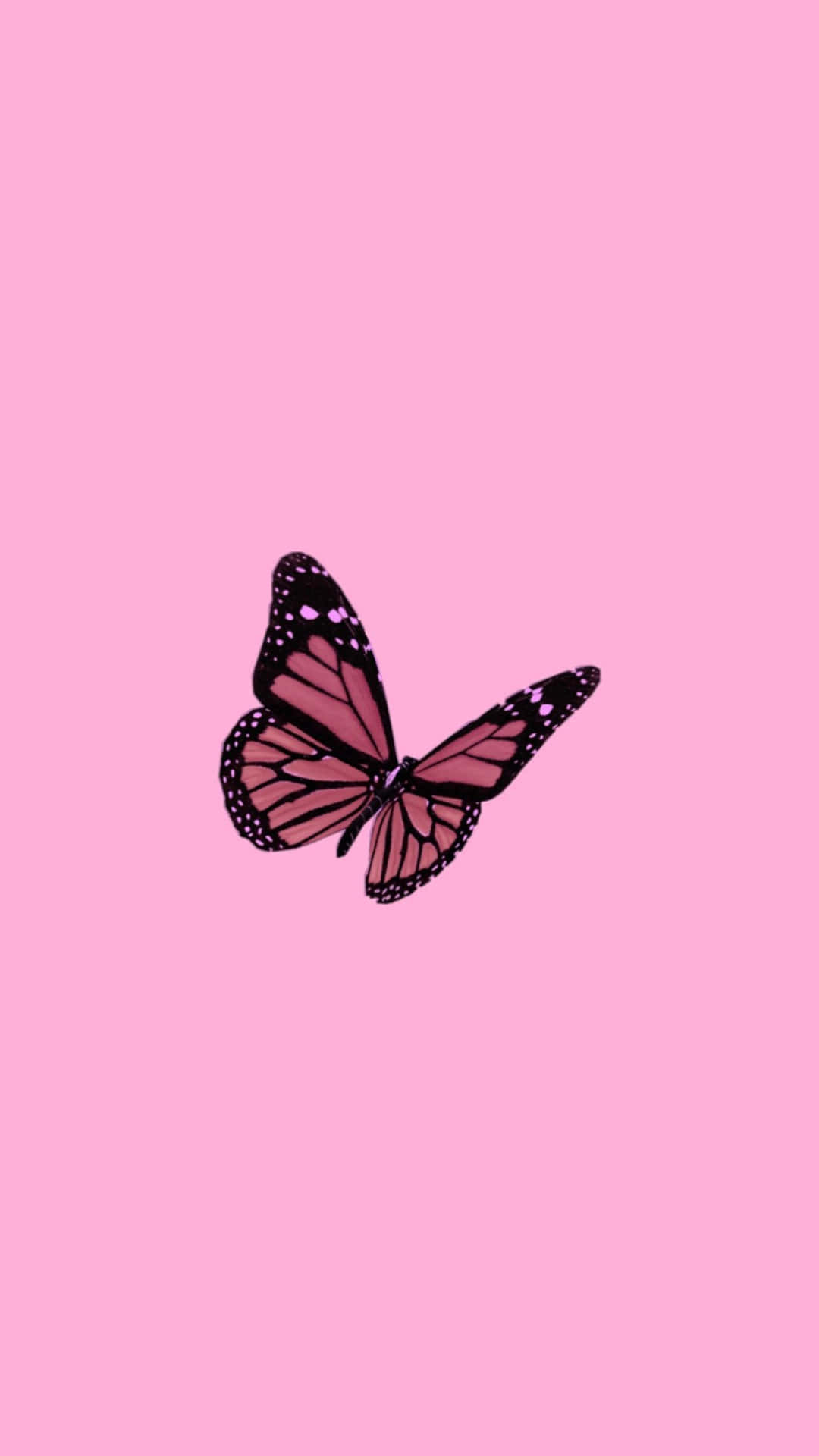 1080x1920 Download Pink Butterfly Cute Pfp, Phone