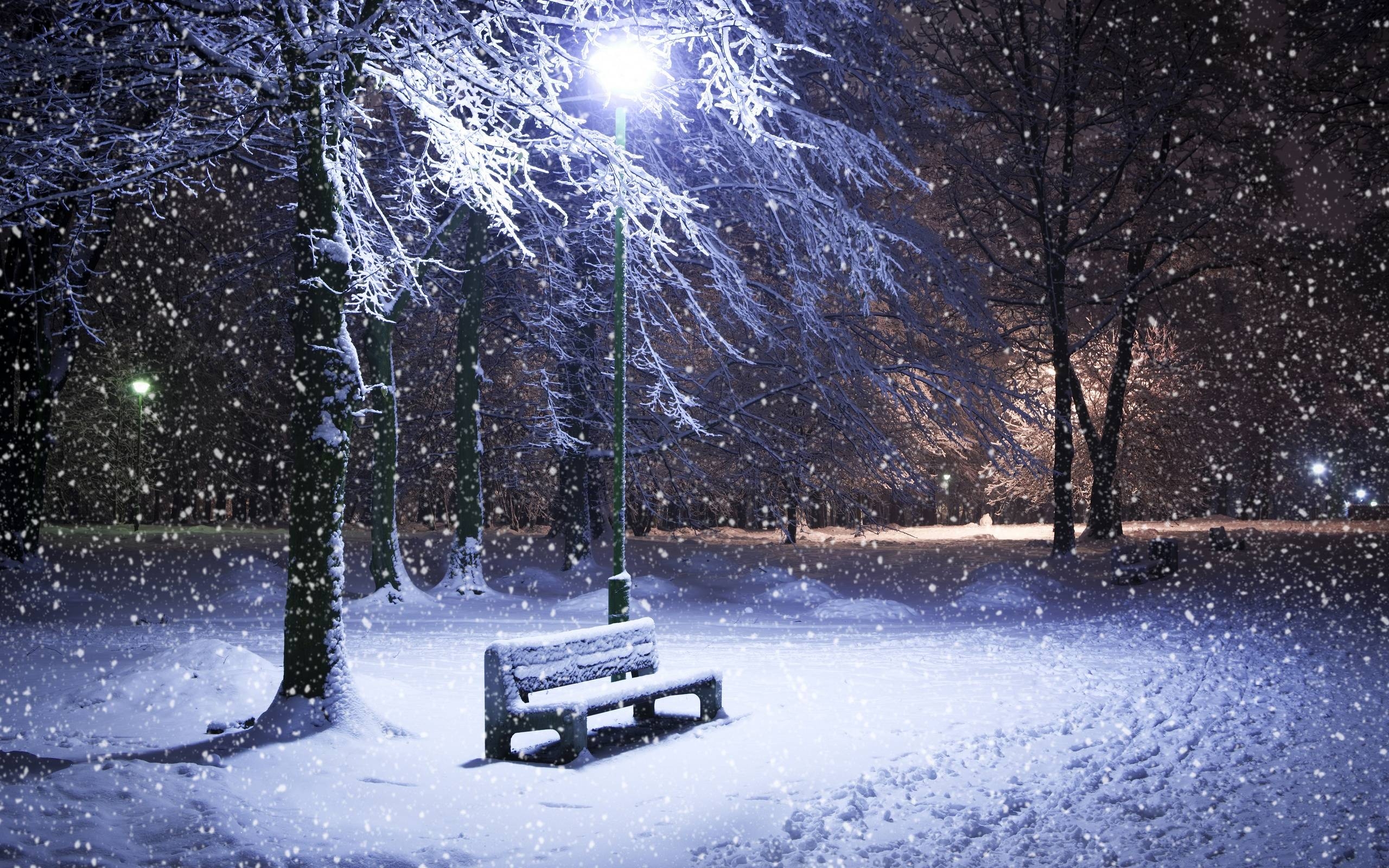 2560x1600 Winter Night HD Wallpaper, Desktop