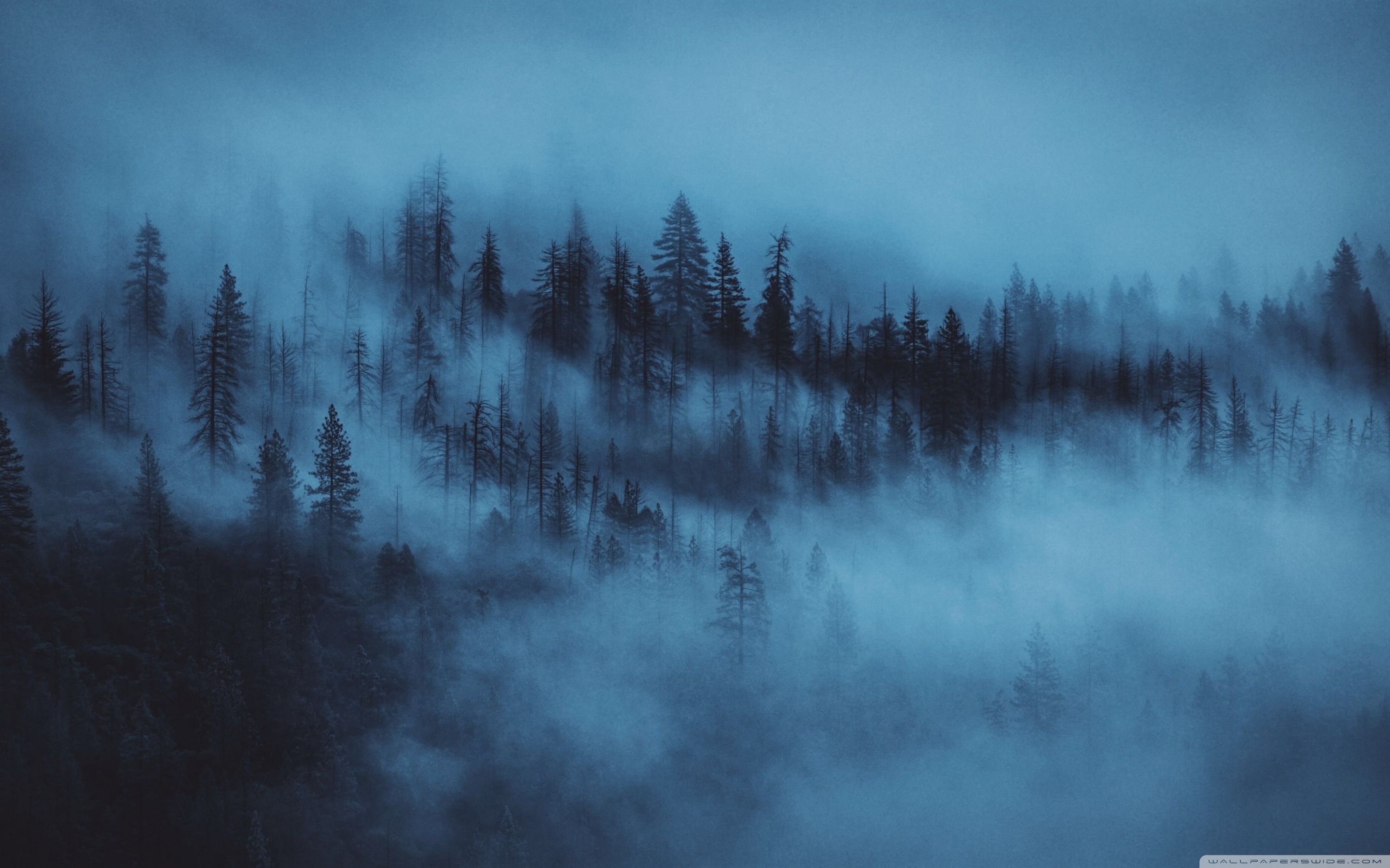 2880x1800 Dark Aesthetic PC Wallpaper, Desktop