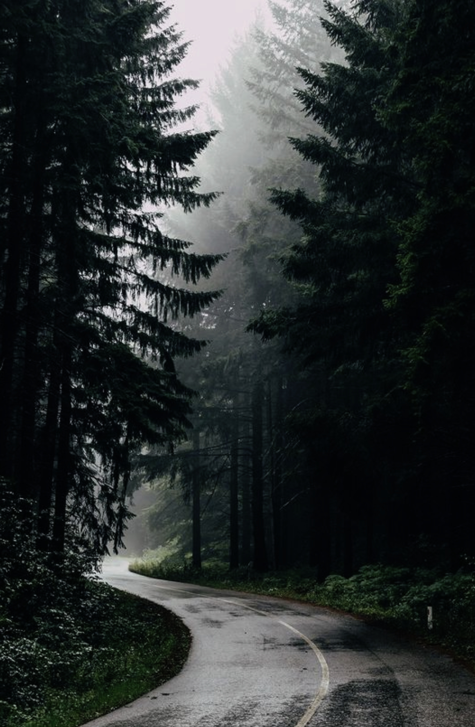950x1450 Pacific Northwest iPhone Wallpaper Free Pacific Northwest iPhone Background, Phone