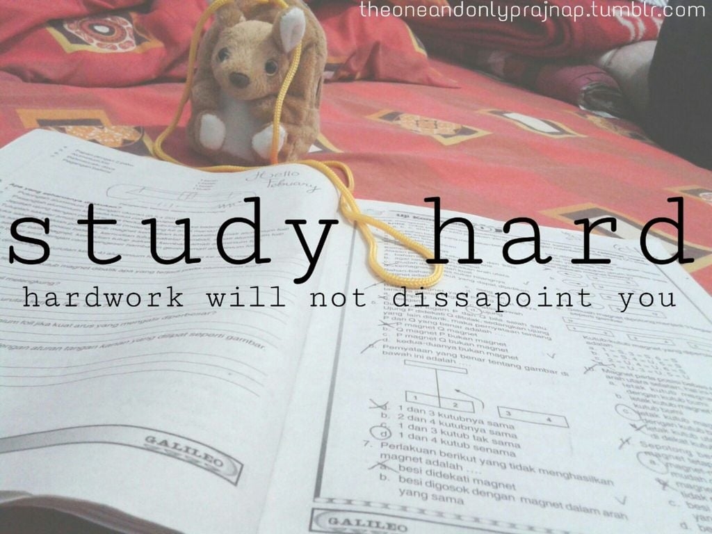 1030x770 Motivation Quotes We Heart It With Study Hard Hardwork, Desktop