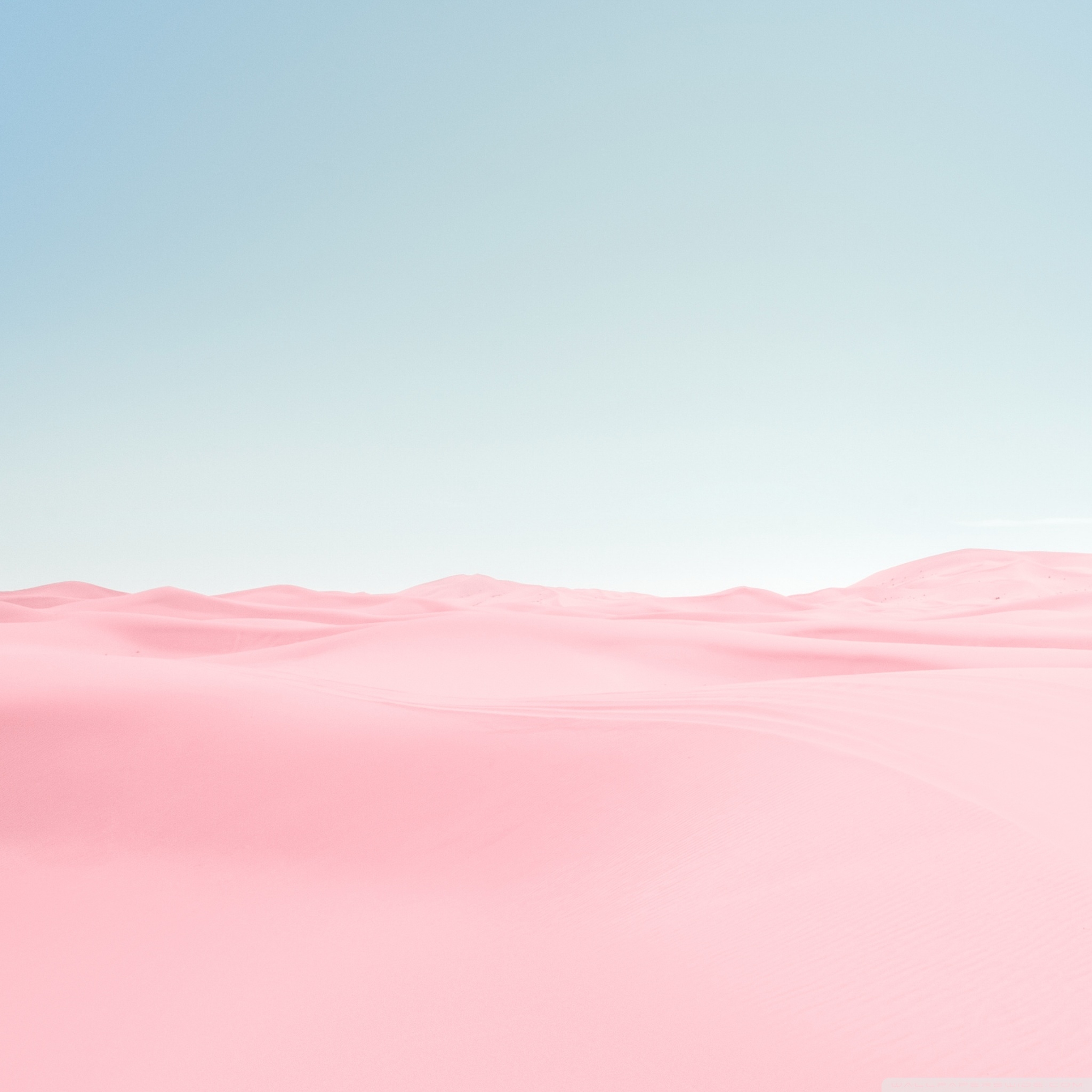 2050x2050 Pink Desert, Blue Sky Ultra HD Desktop Background Wallpaper for 4K UHD TV, Widescreen & UltraWide Desktop & Laptop, Multi Display, Dual Monitor, Tablet, Phone