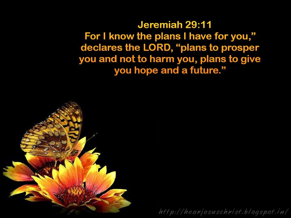 1030x770 Jeremiah 29:11 Wallpaper Free Jeremiah 29:11 Background, Desktop